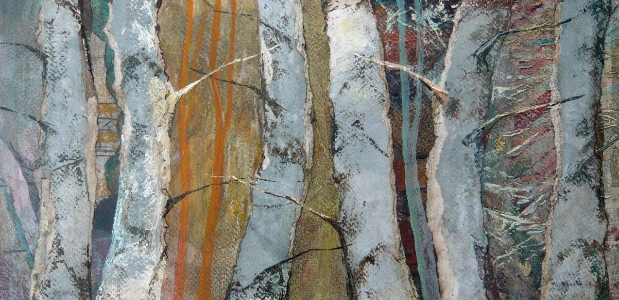 Woodland in winter