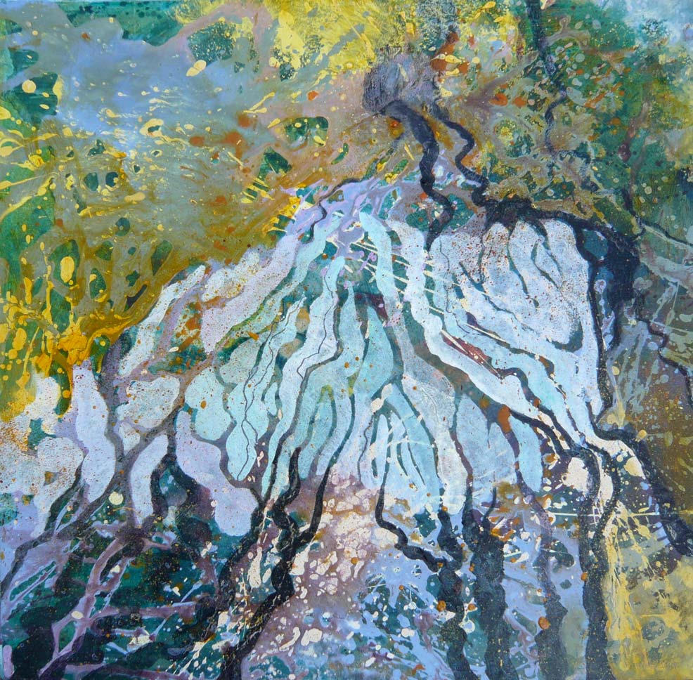Woodland reflections