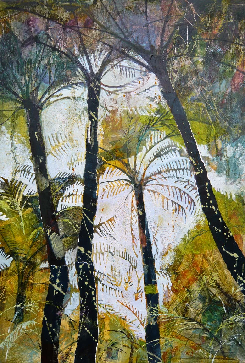 New Zealand tree ferns