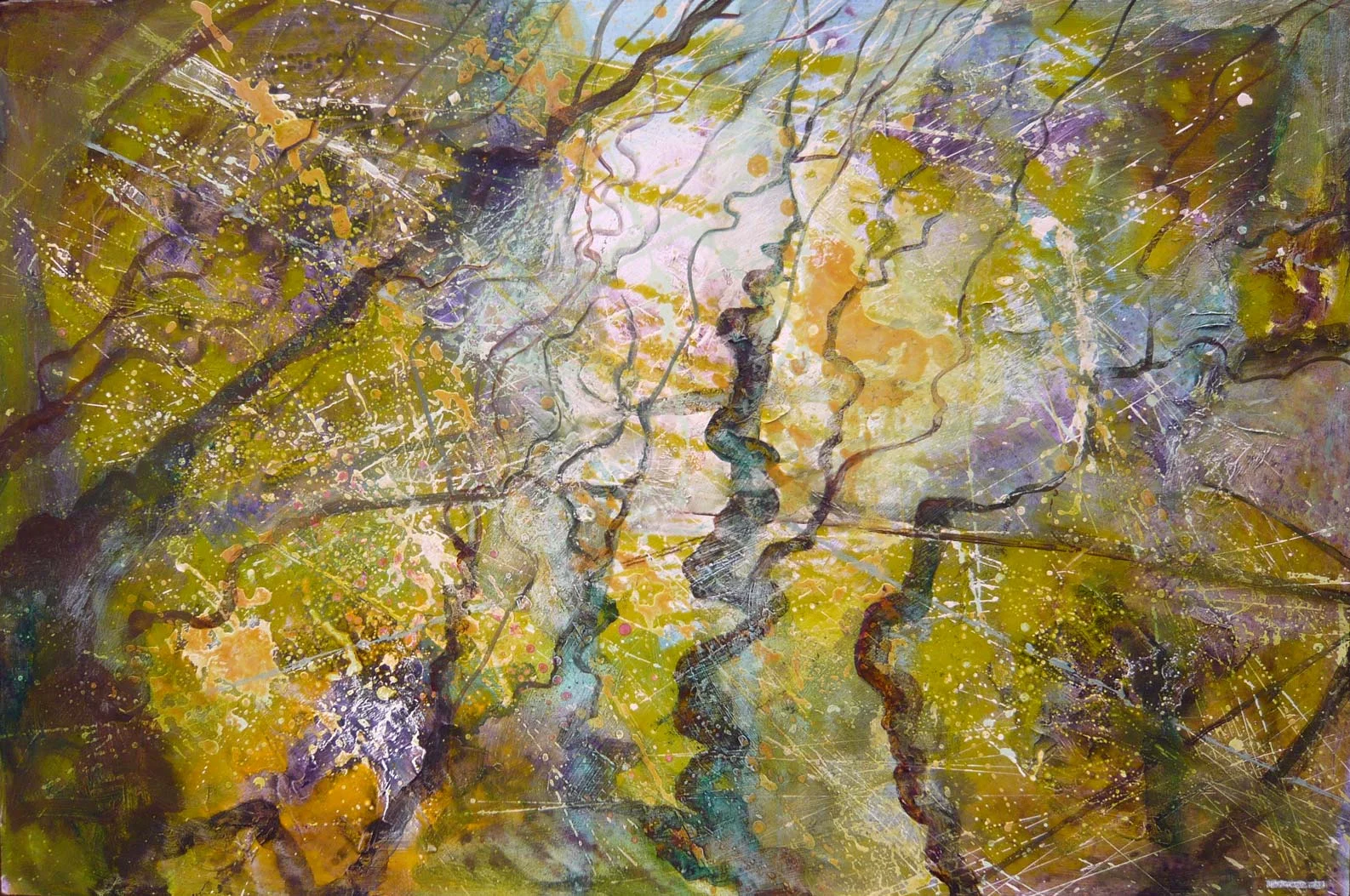 Reflections of branches