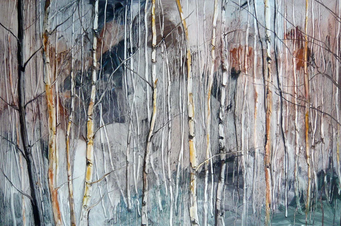 Young birch tree forest
