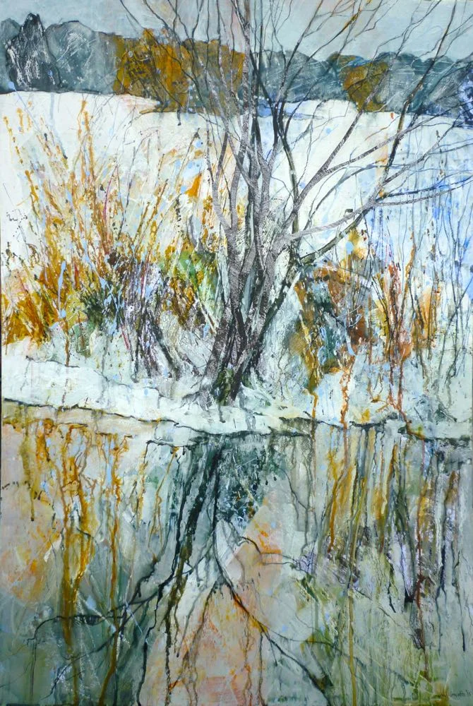 Wintry reflections