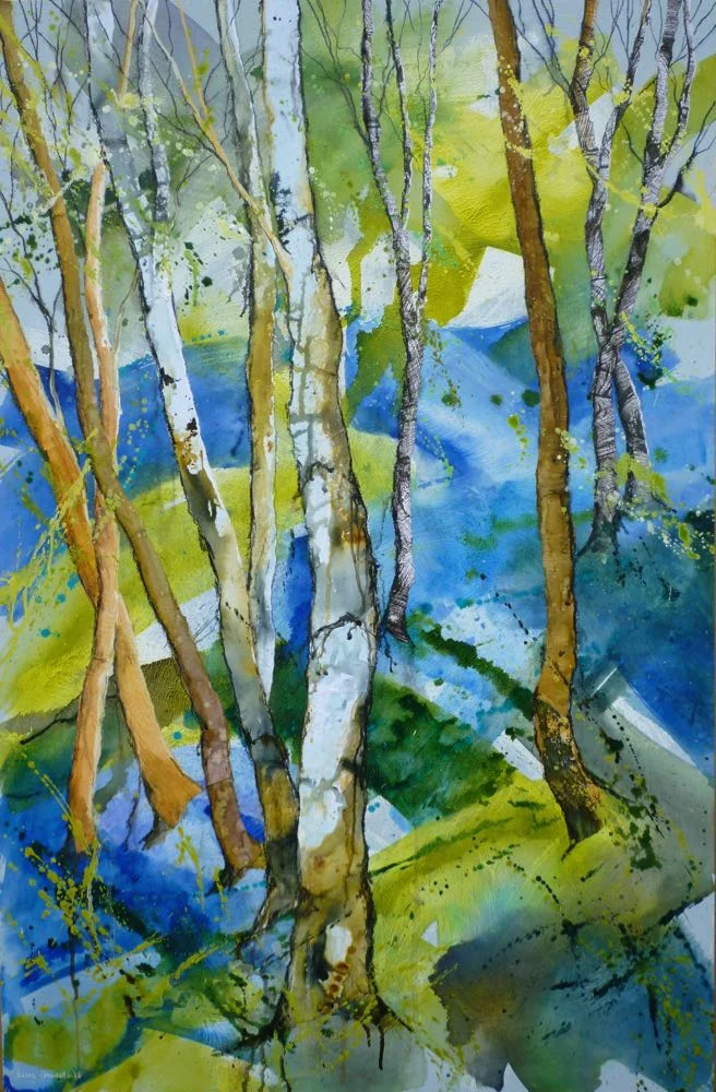 Wendy's bluebell wood