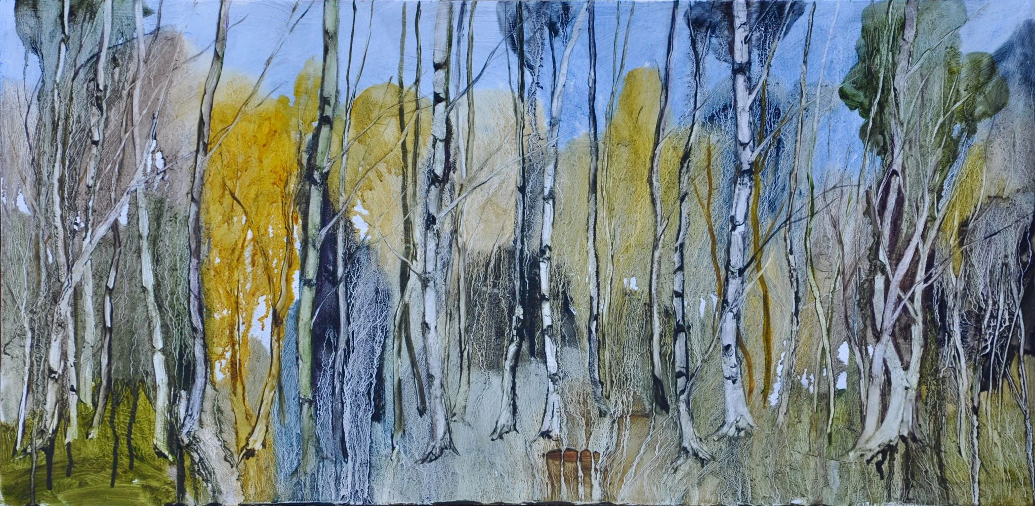 Silver birch magic 