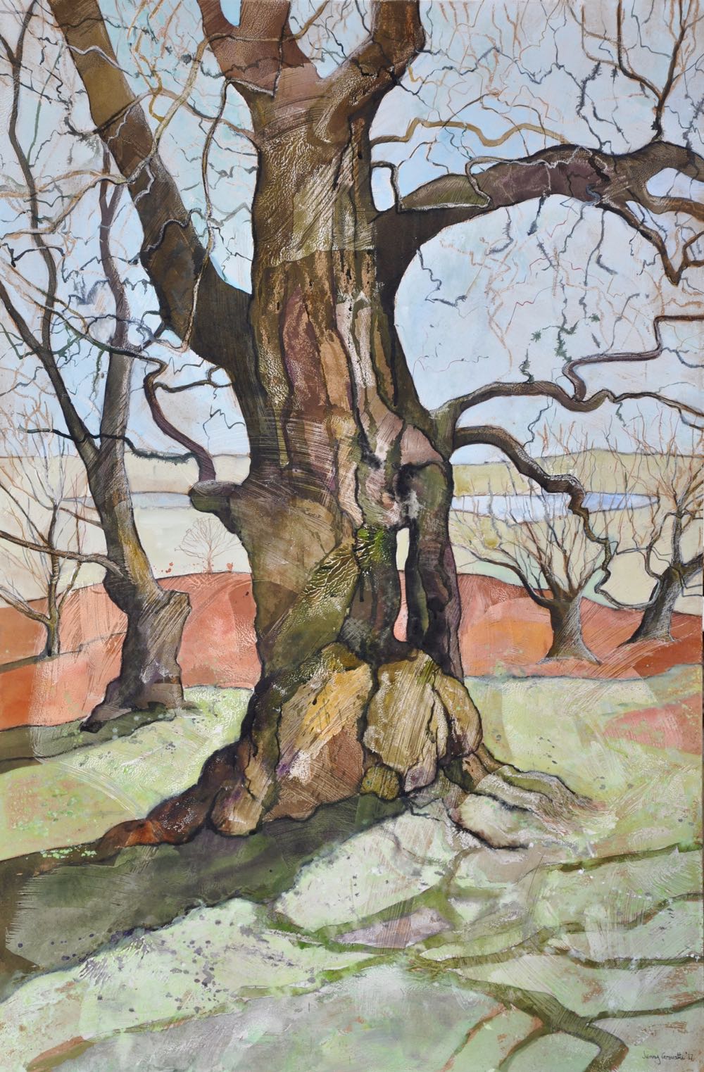 Bradgate oak, Spring sun 