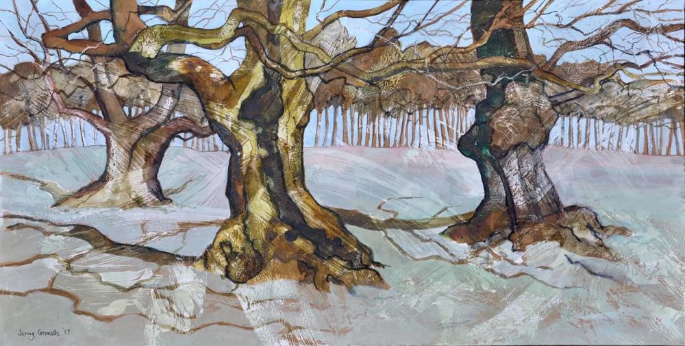 Trio of ancient oaks, Bradgate