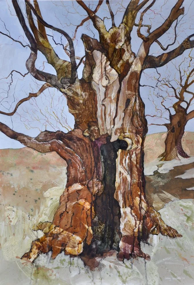 Hollow oak in Bradgate Park
