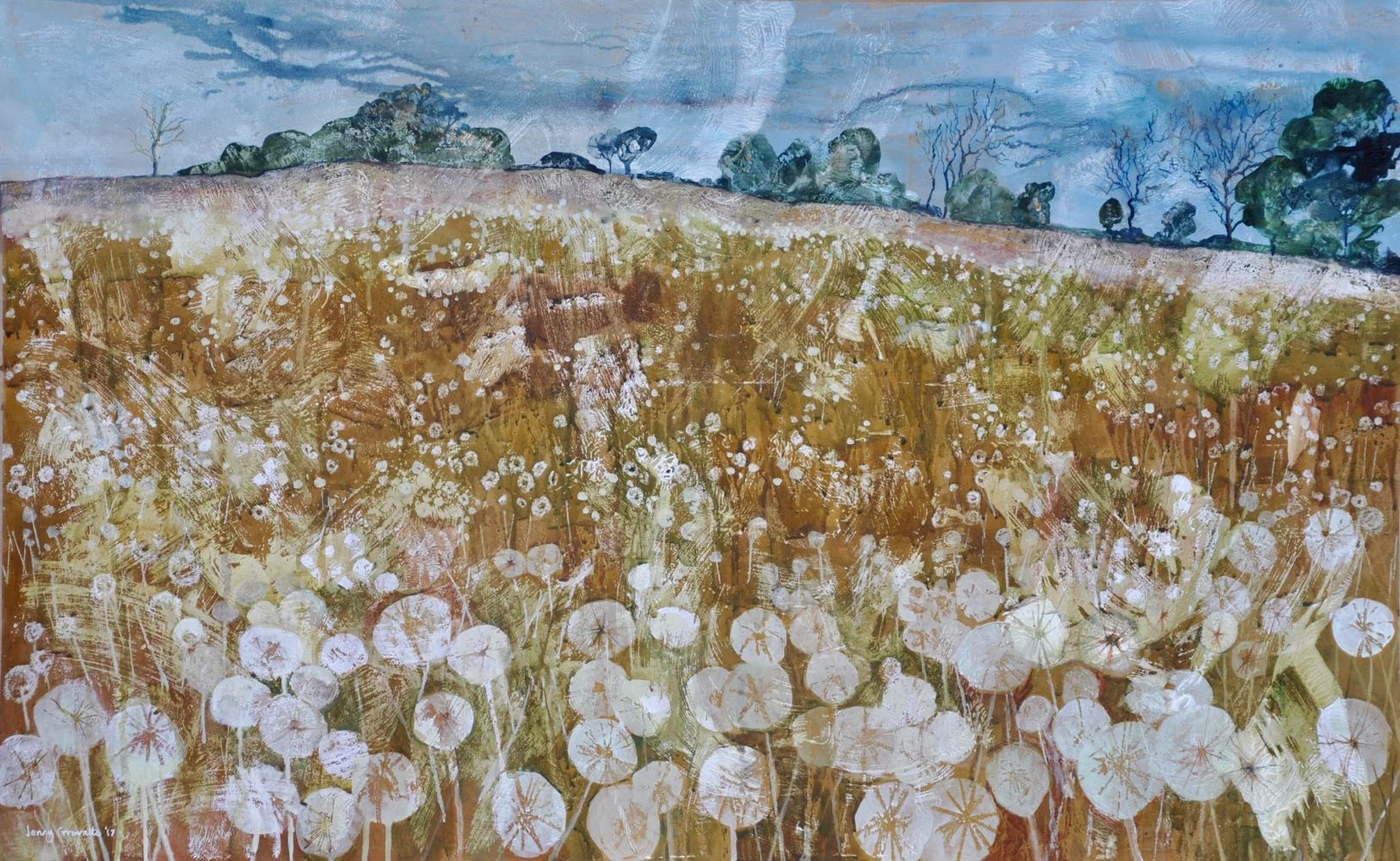 Field of dandelions