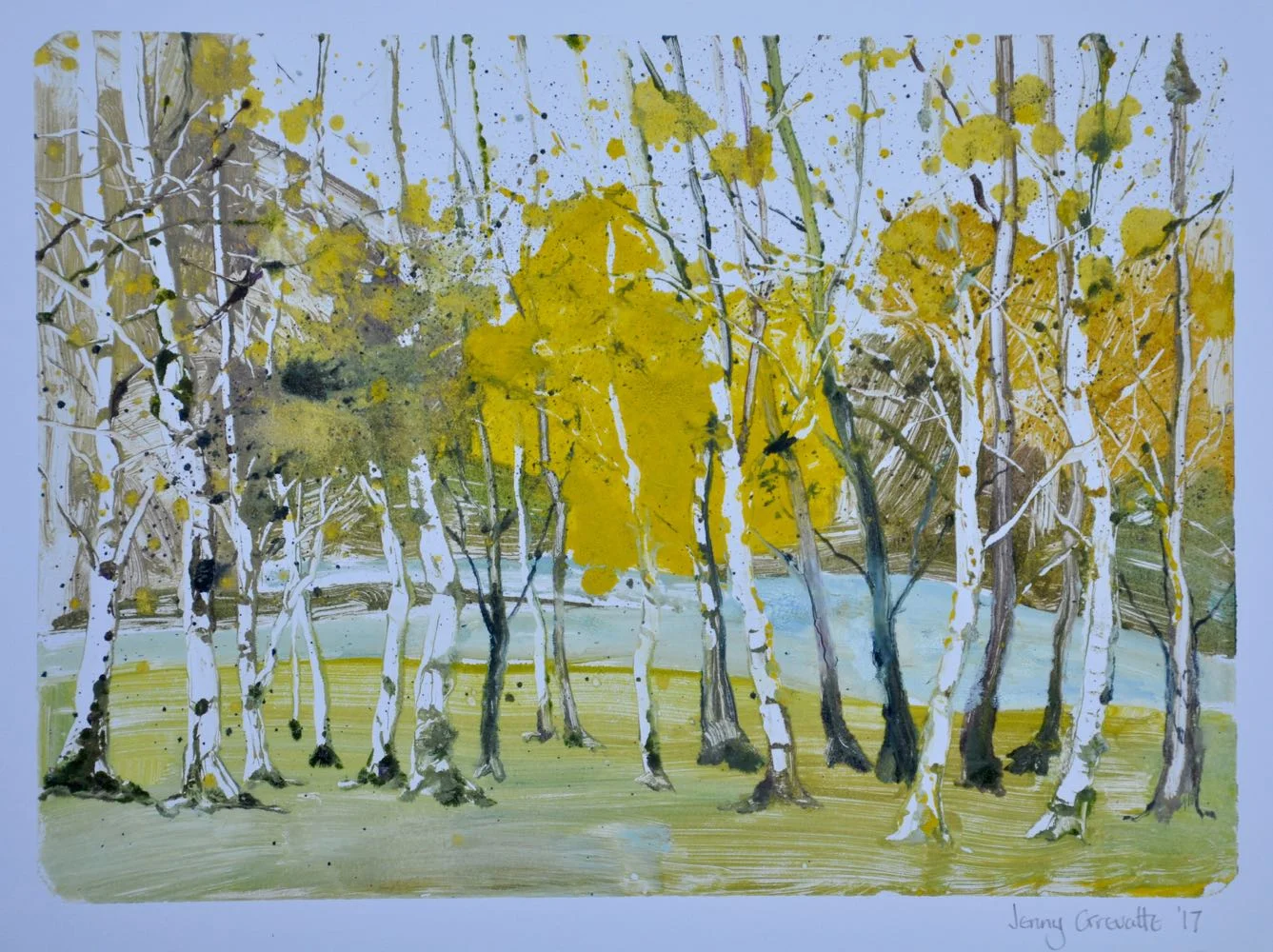 Spring in the siver birch wood