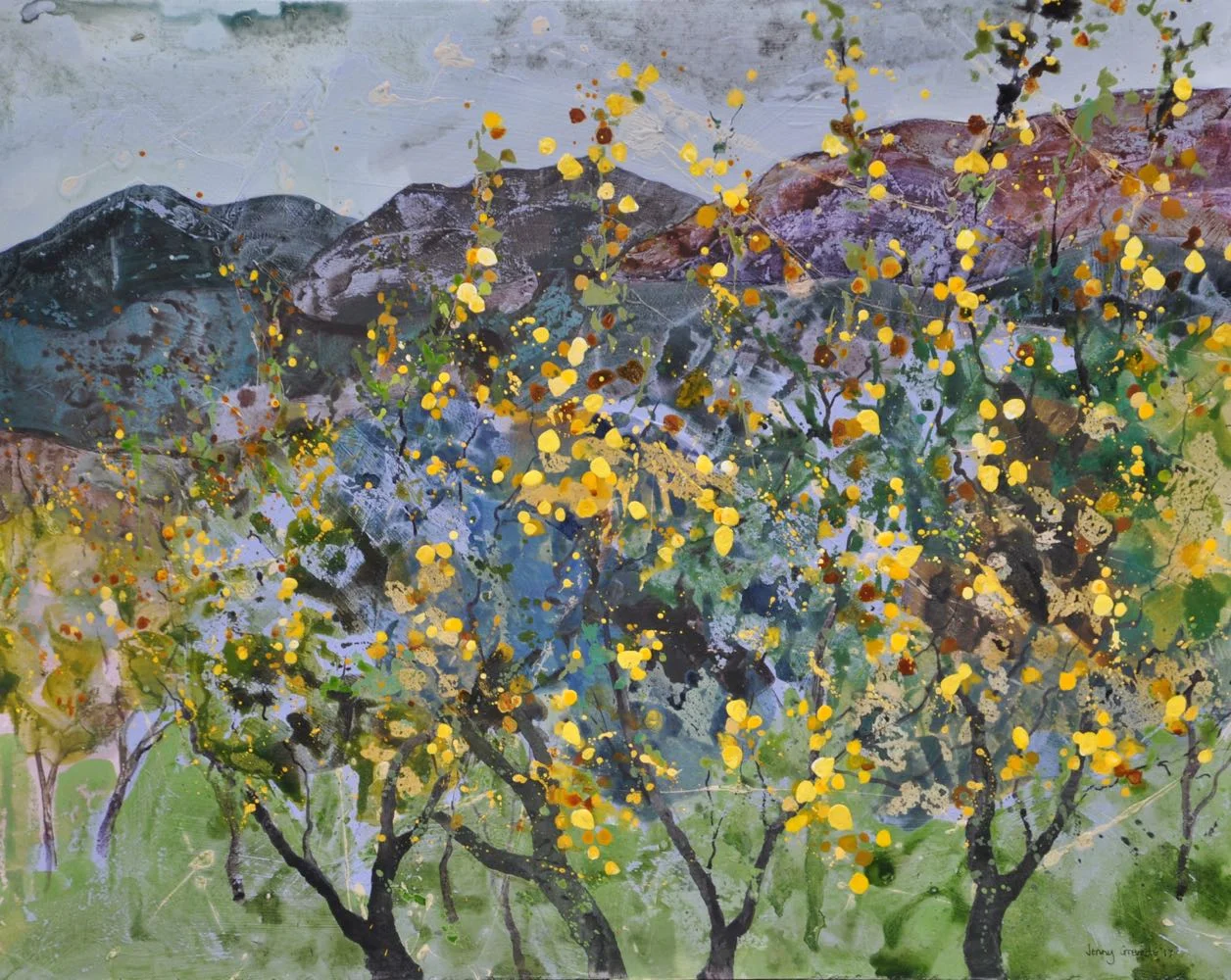 Amalfi lemon groves