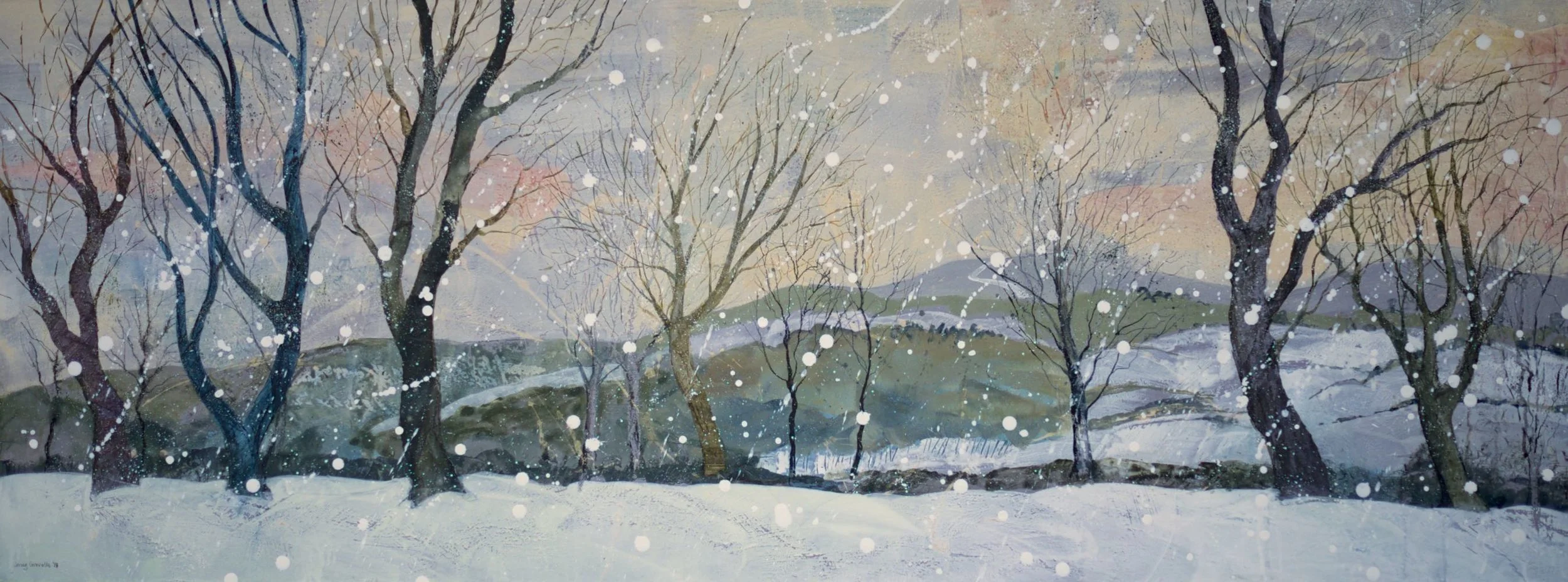 Winter colours ,Charnwood   