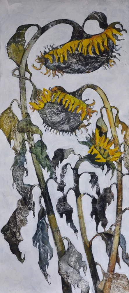 Last of the summer sunflowers