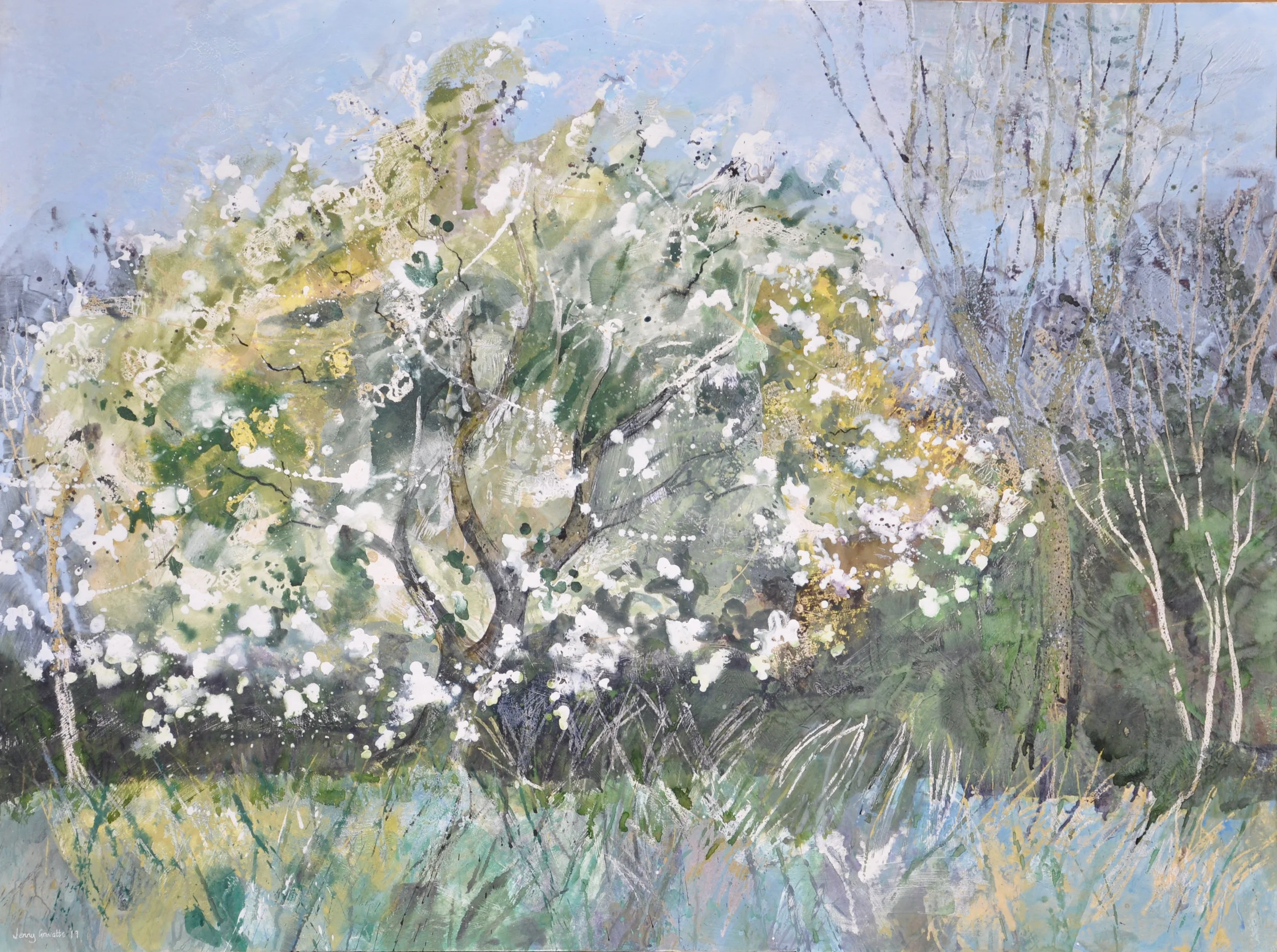 Bountiful apple blossom