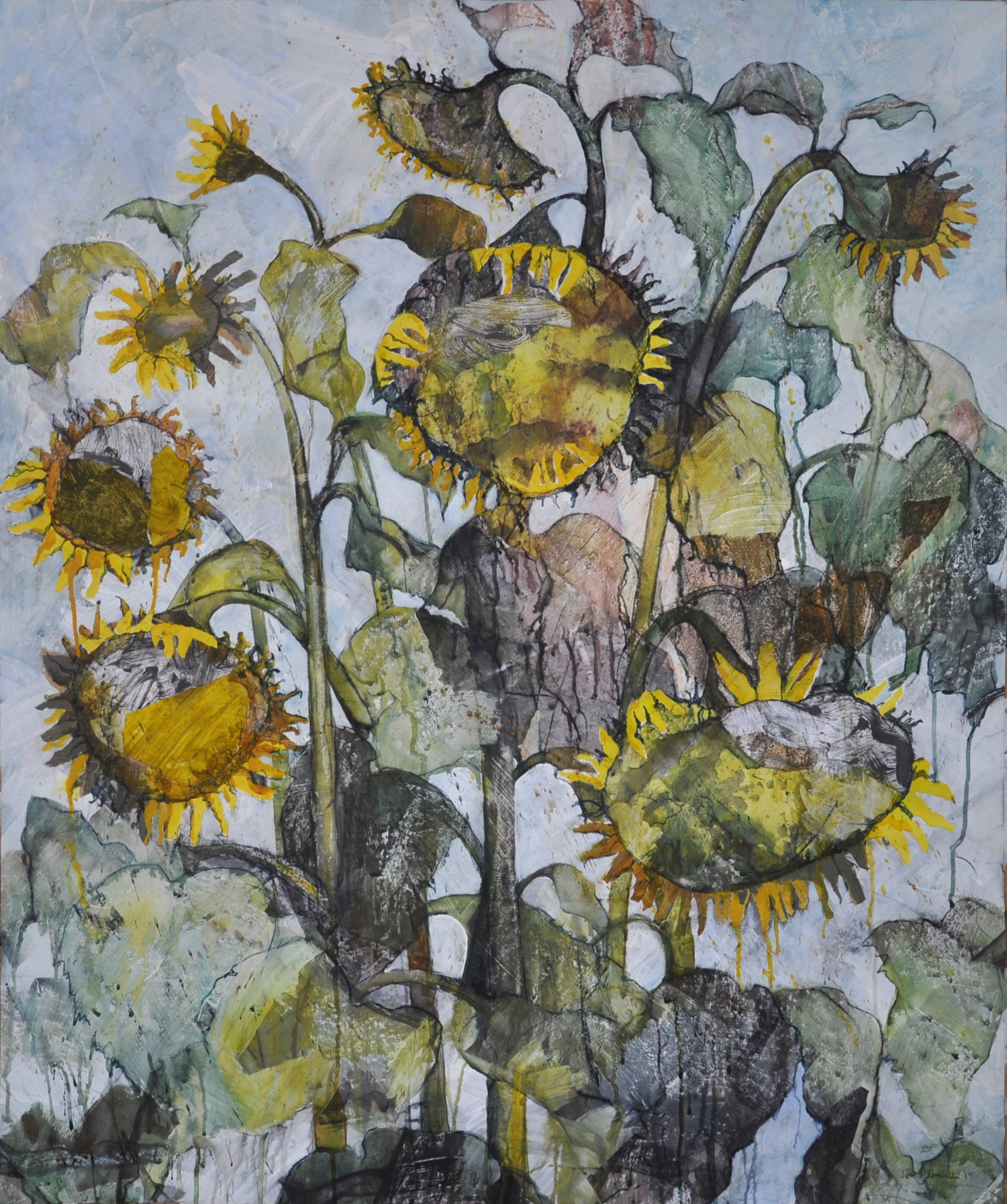 Last of the sunflowers 