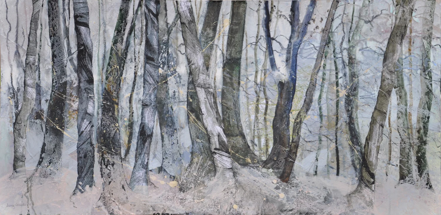 Diffusing light amongst the trees