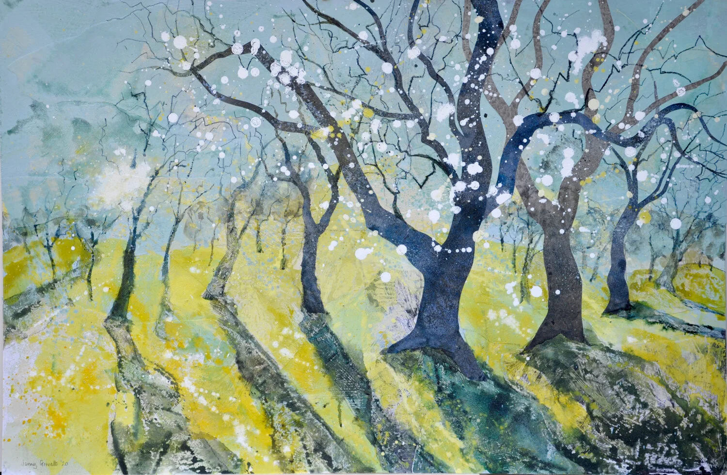 Almond blossom, Sicily 