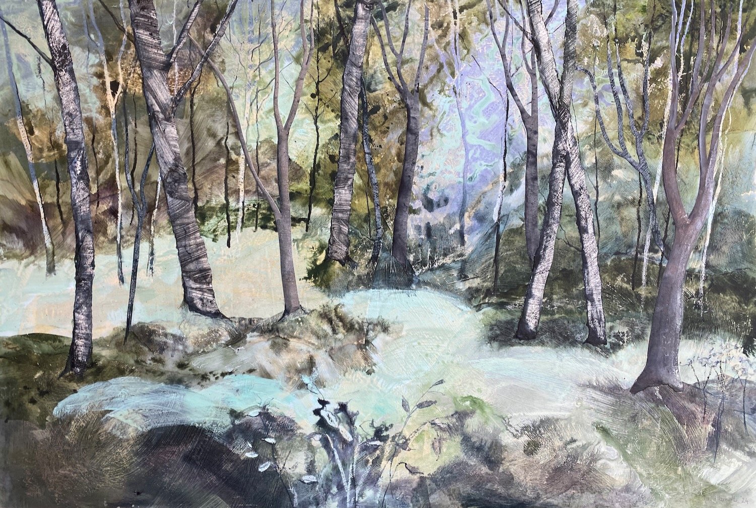 Sunlight illuminating the forest floor