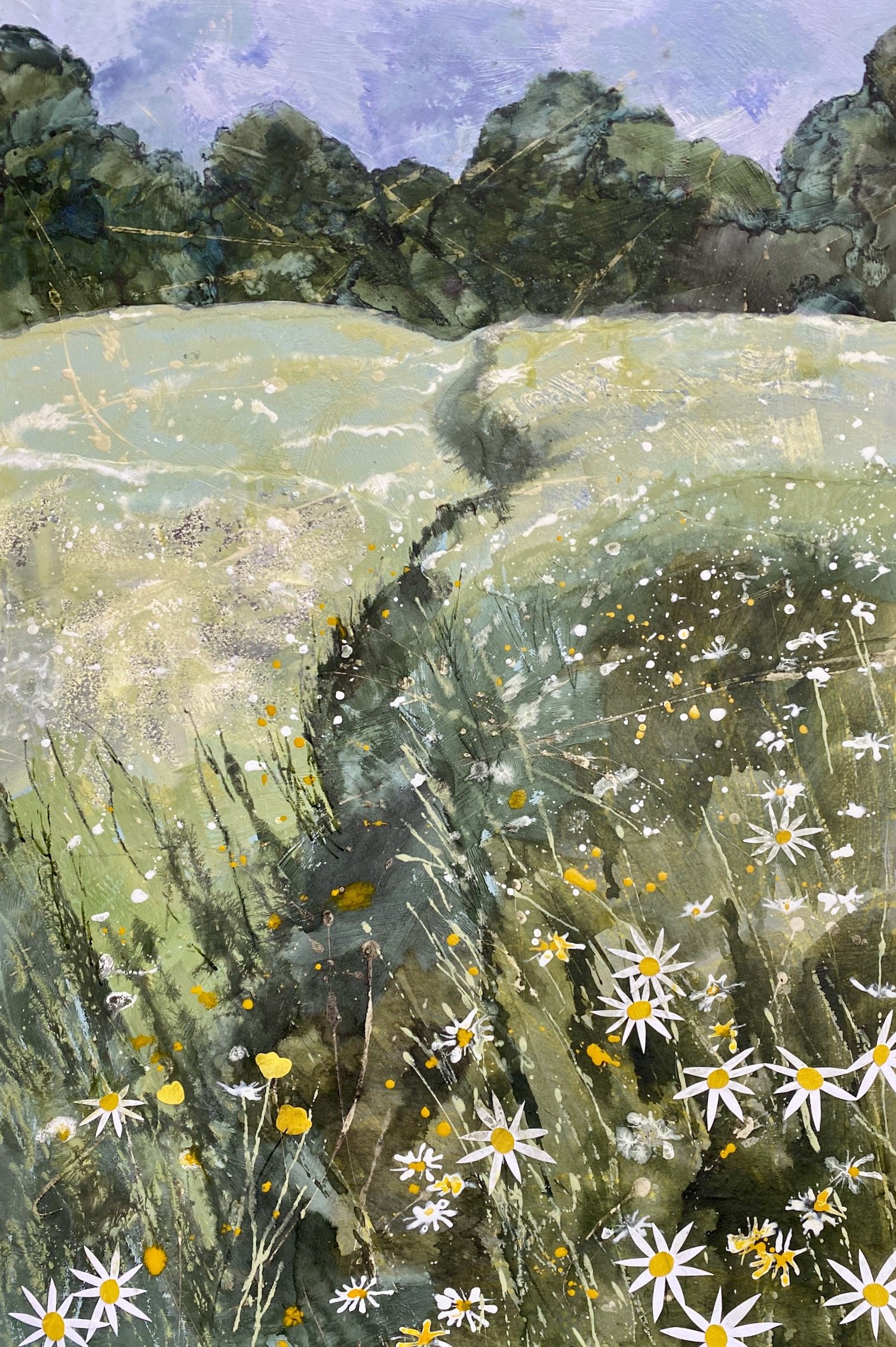 Meadow flowers, June