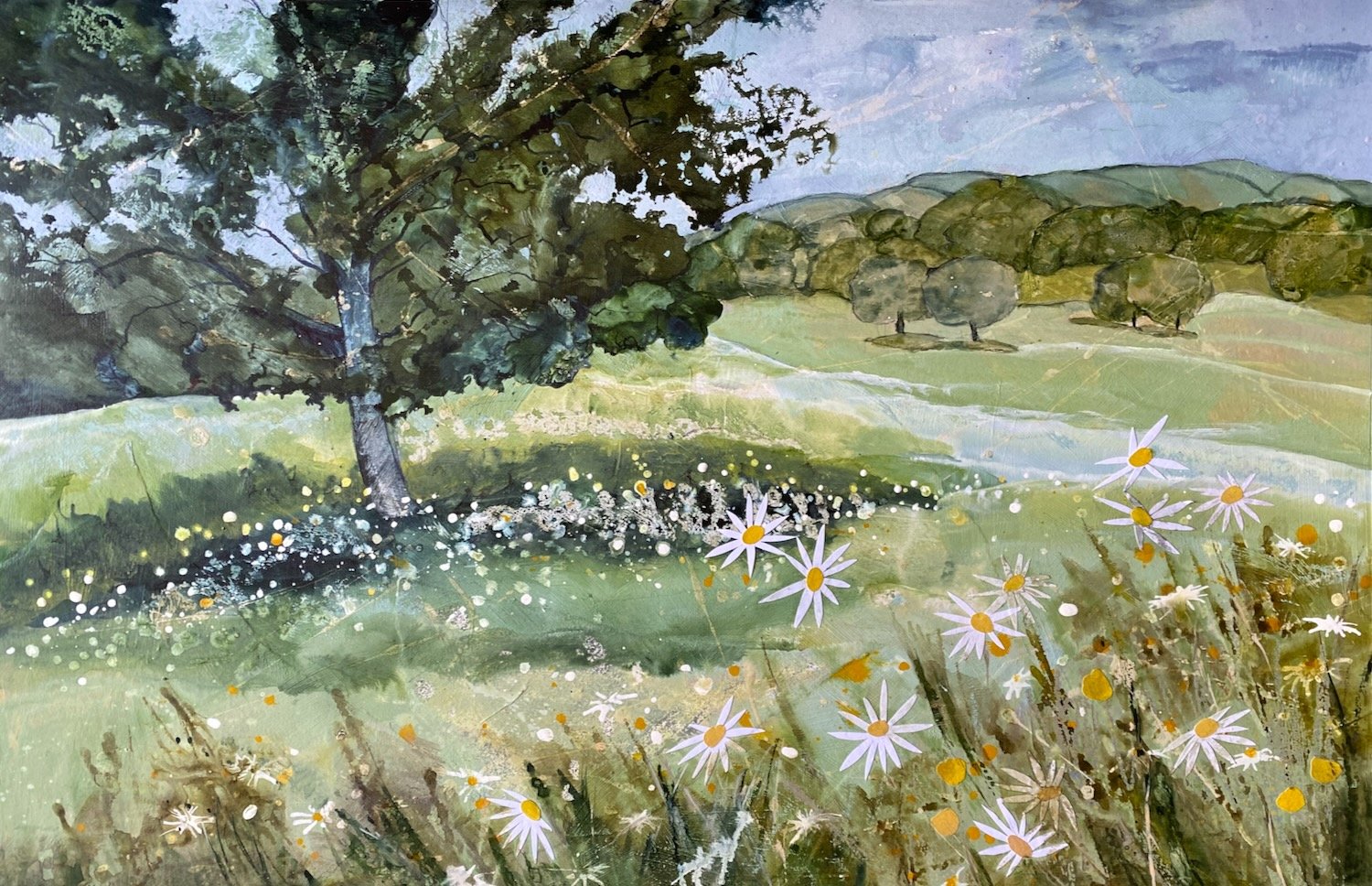 A profusion of daisies in the meadow