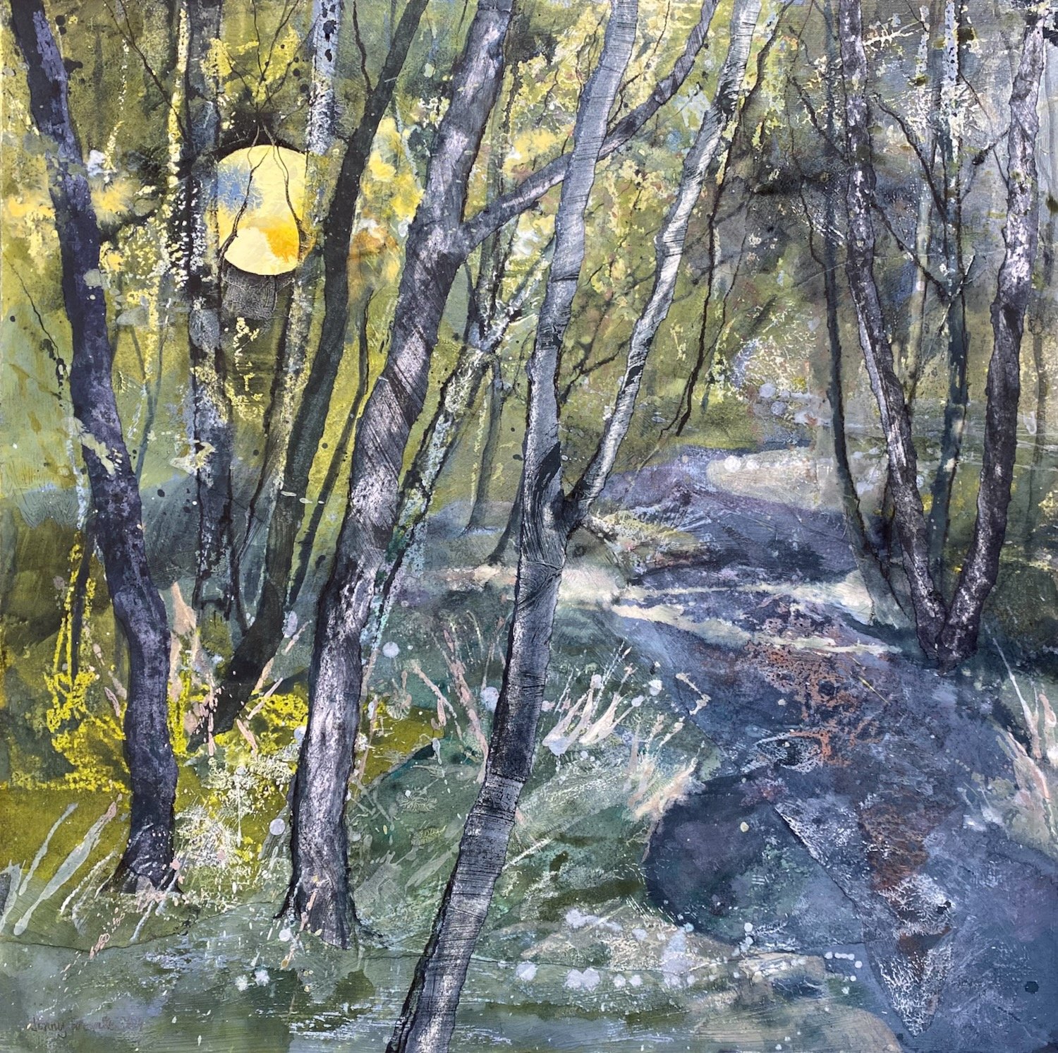 Woodland walk by moonlight
