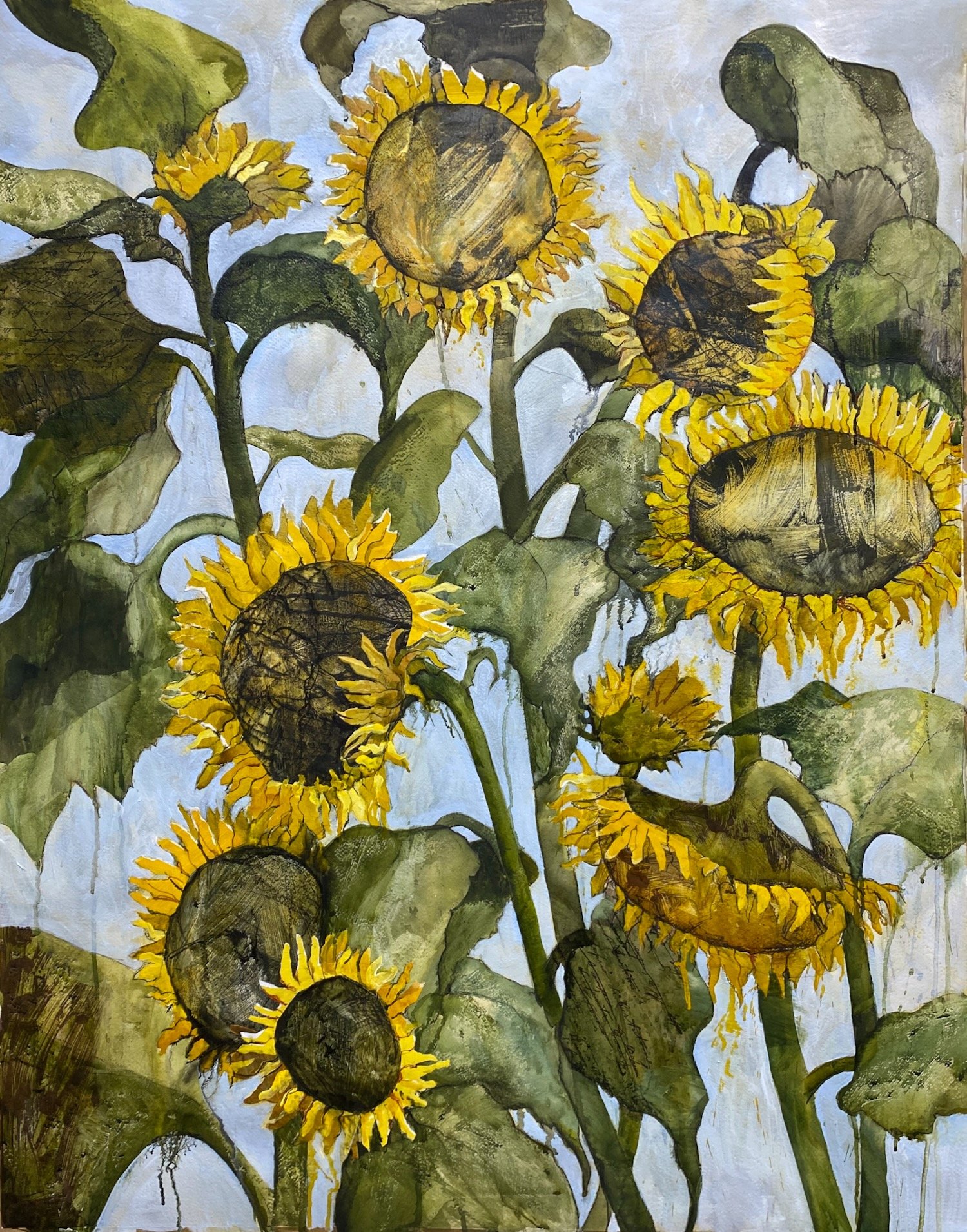 Celebrating our sunflowers