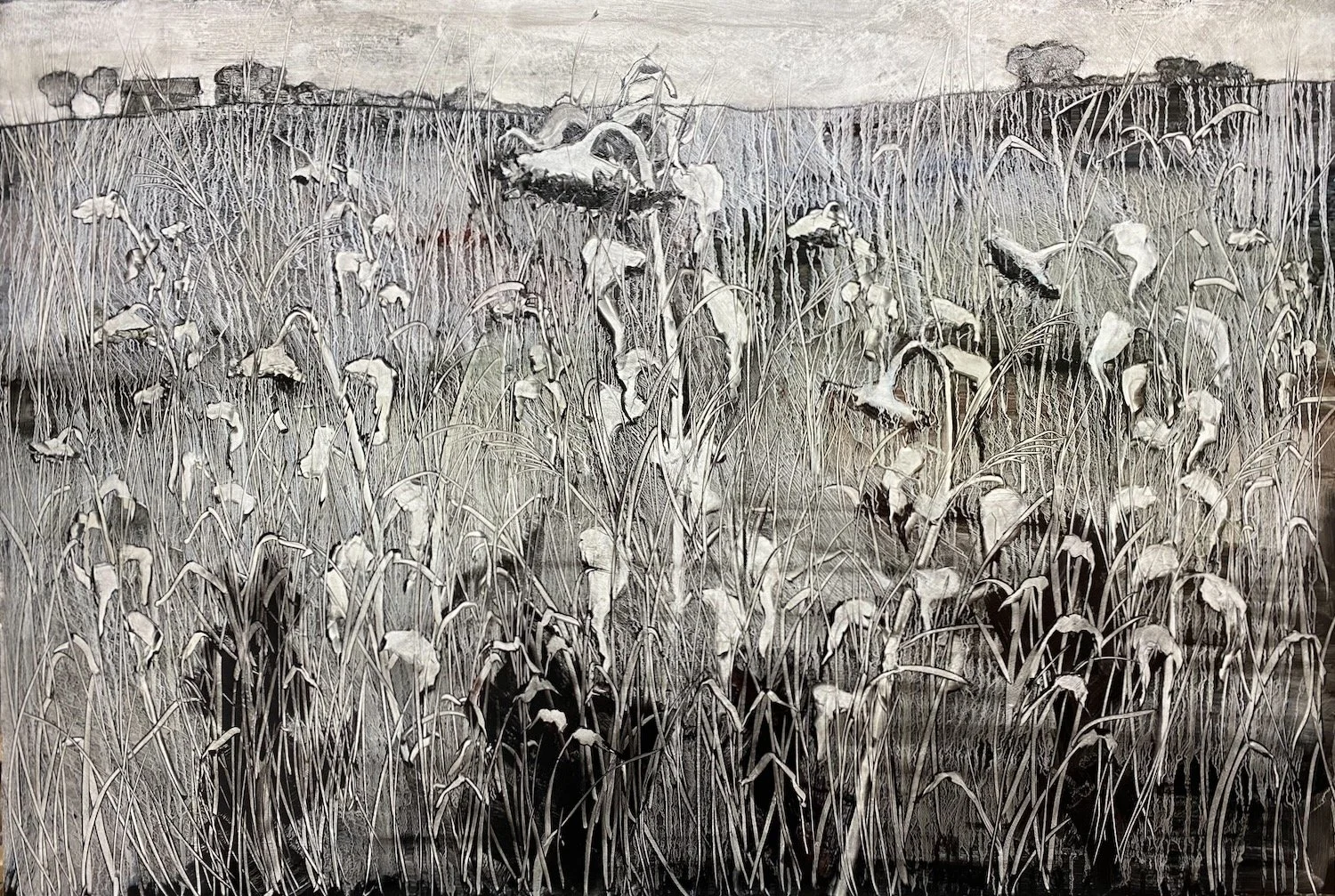 Wild flower meadow in October