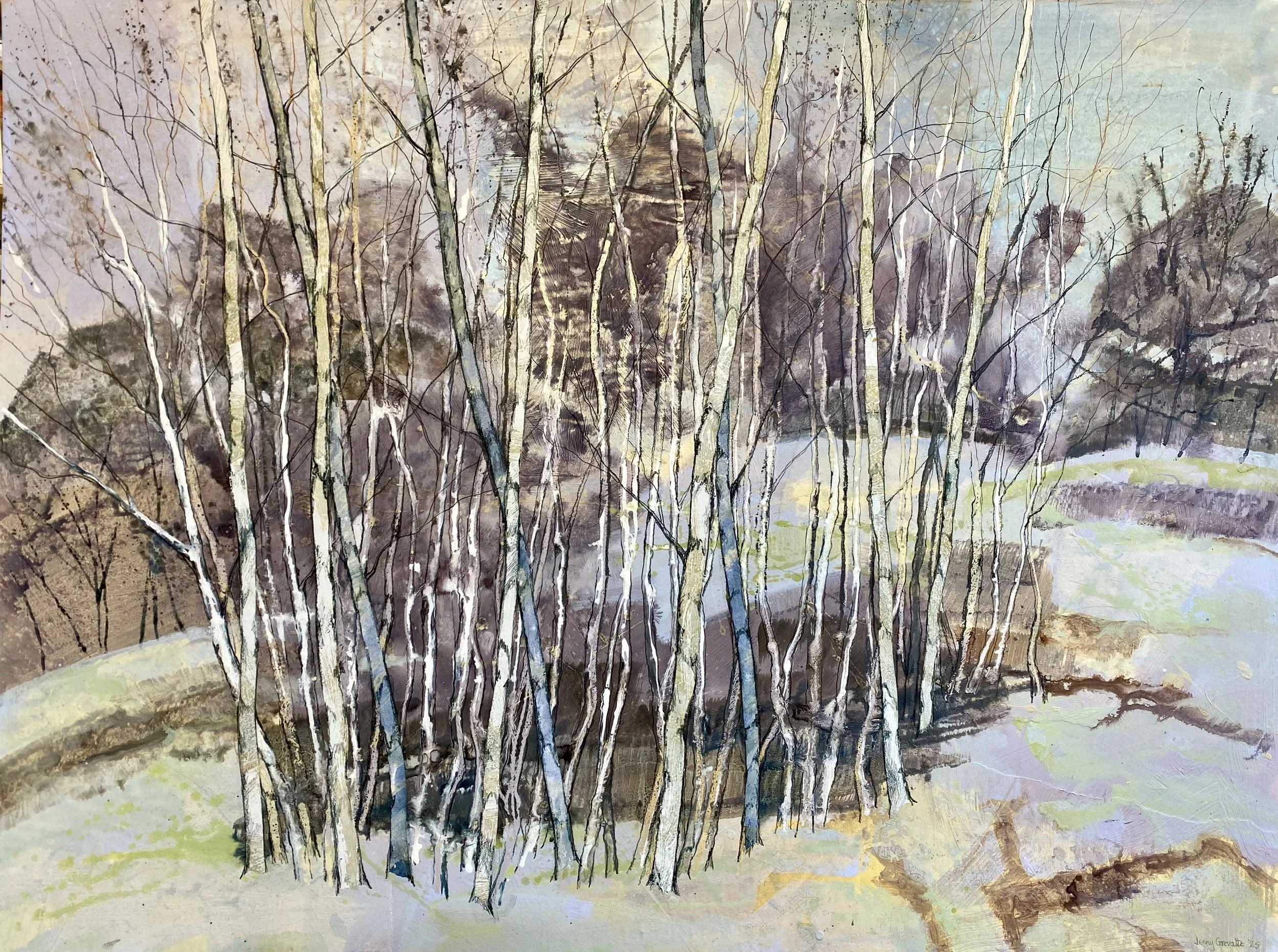 Stand of birch trees