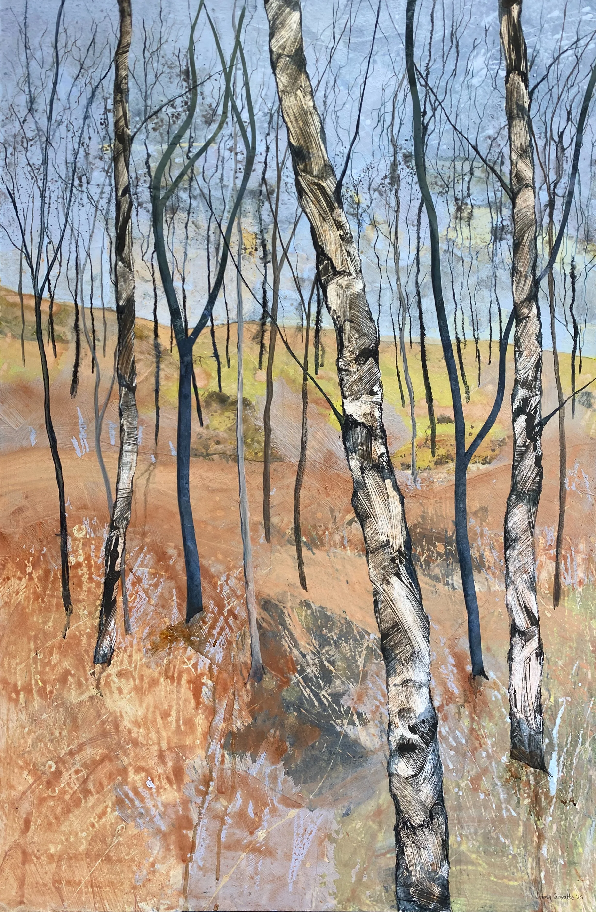 Young birch saplings 