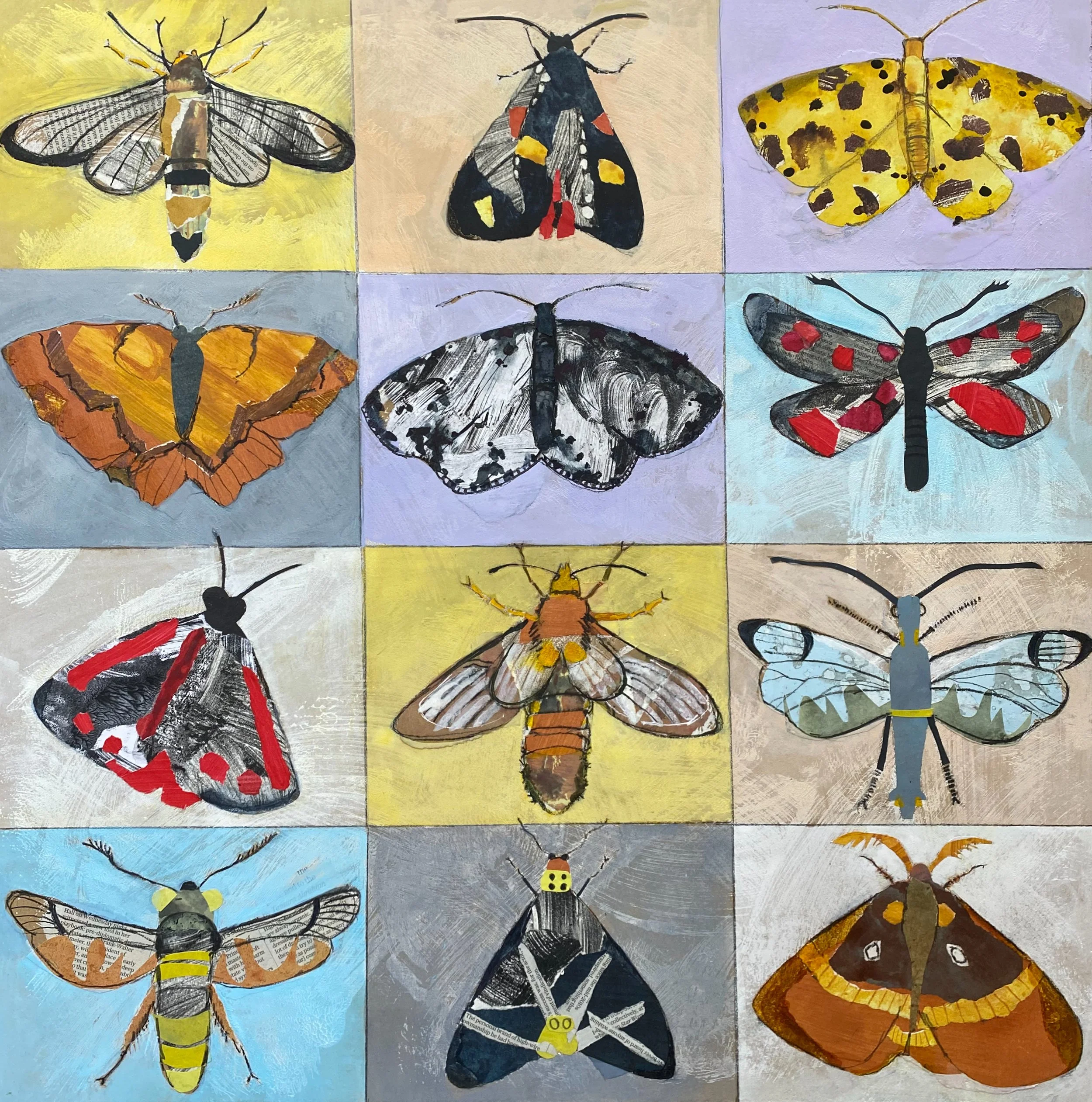 Moths I Love