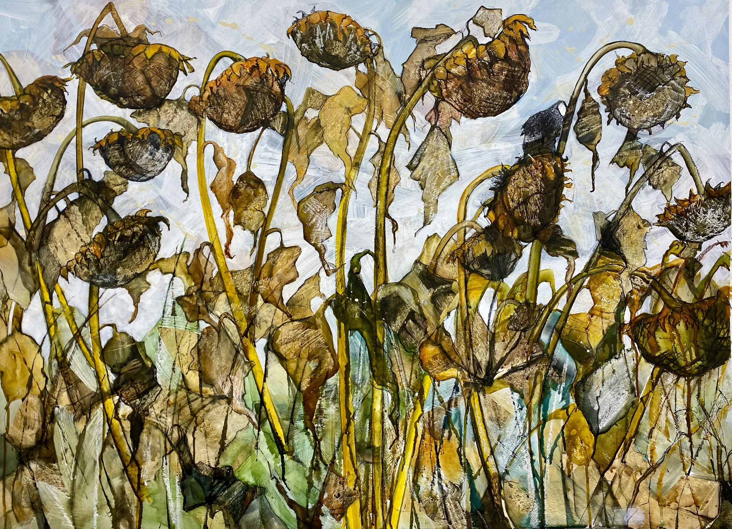 Late summer sunflowers