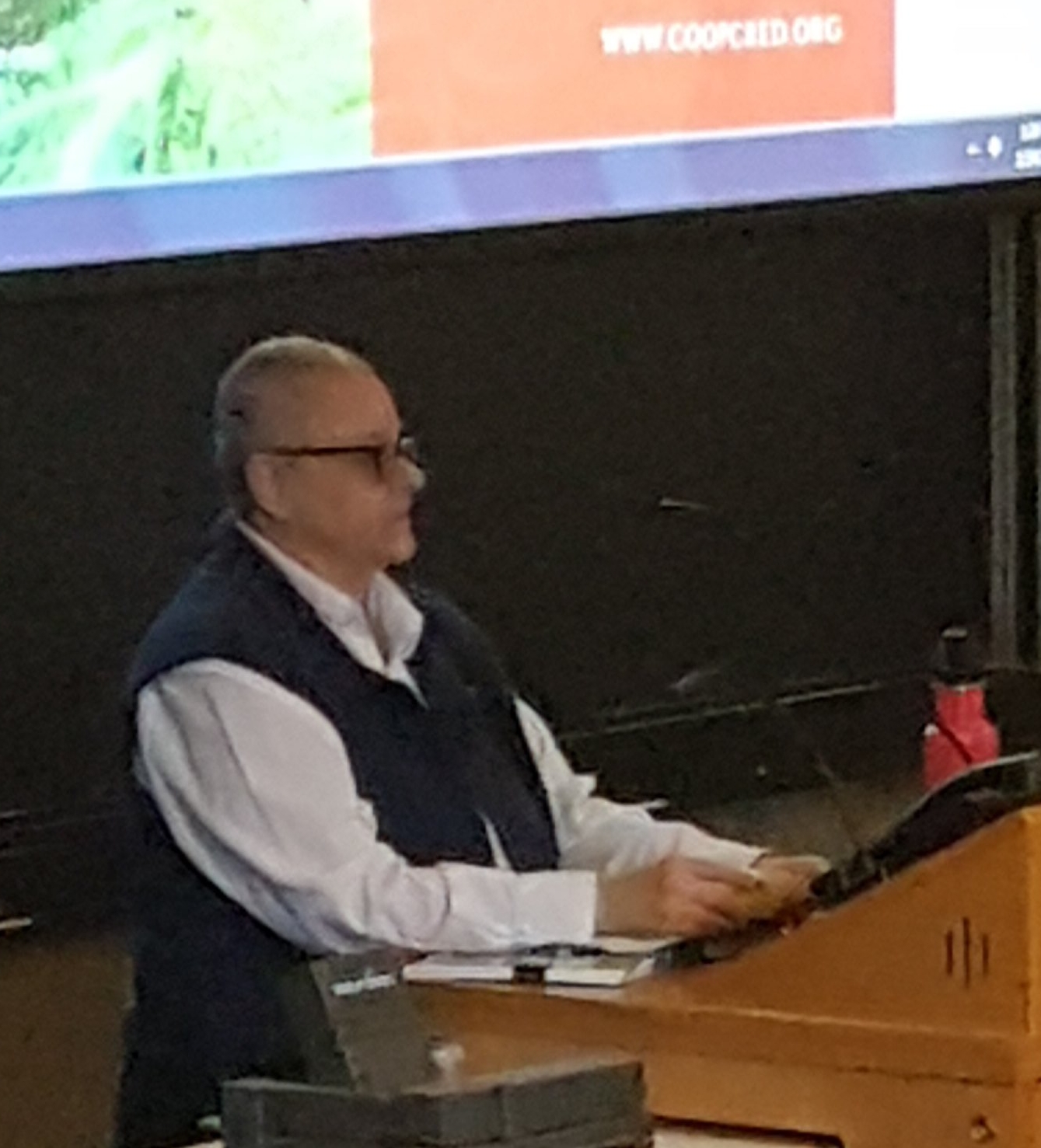 Ann Lapenna Presenting.jpg