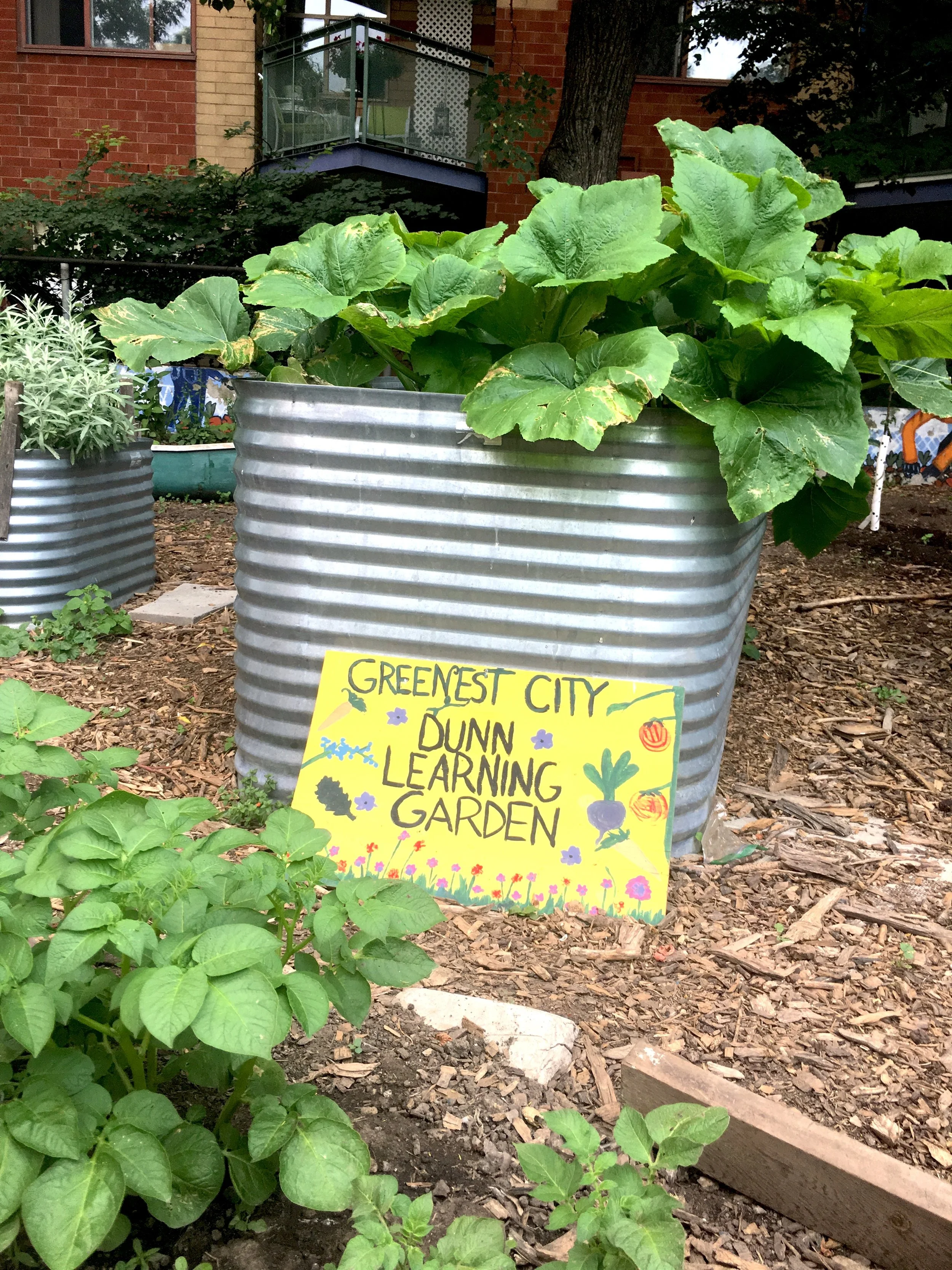 Co- Op Cred Spotlight: Sonam