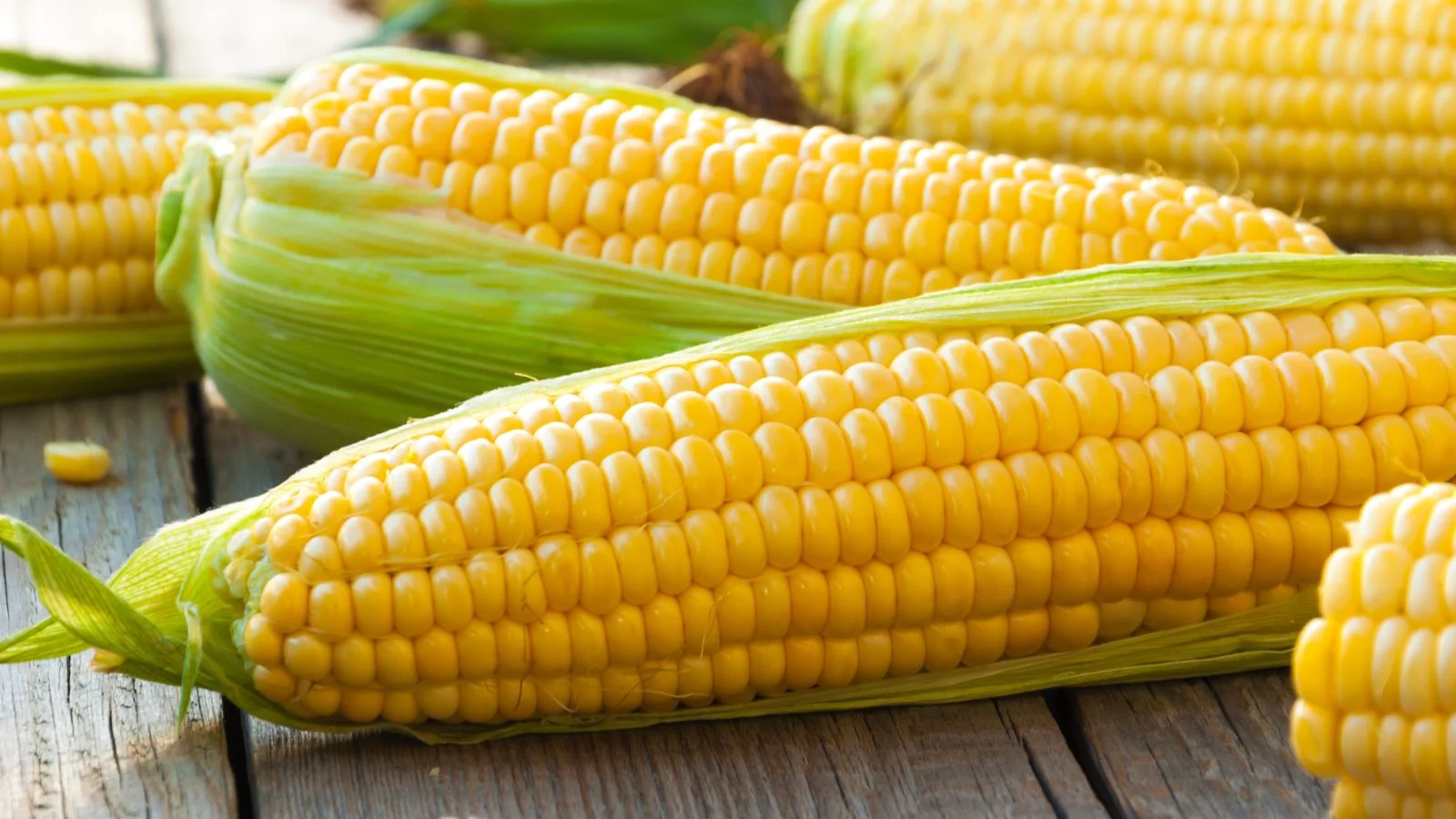 SPECIAL FARMERS MARKET - CORN FESTIVAL