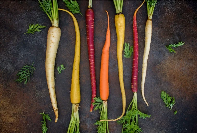 Farmers Market Informational Lunch