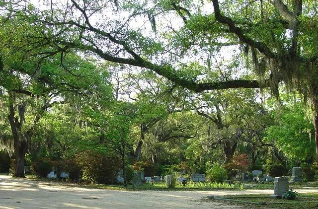 Grave Tales: A Walking Tour of Live Oak Cemeteries #1 & #2