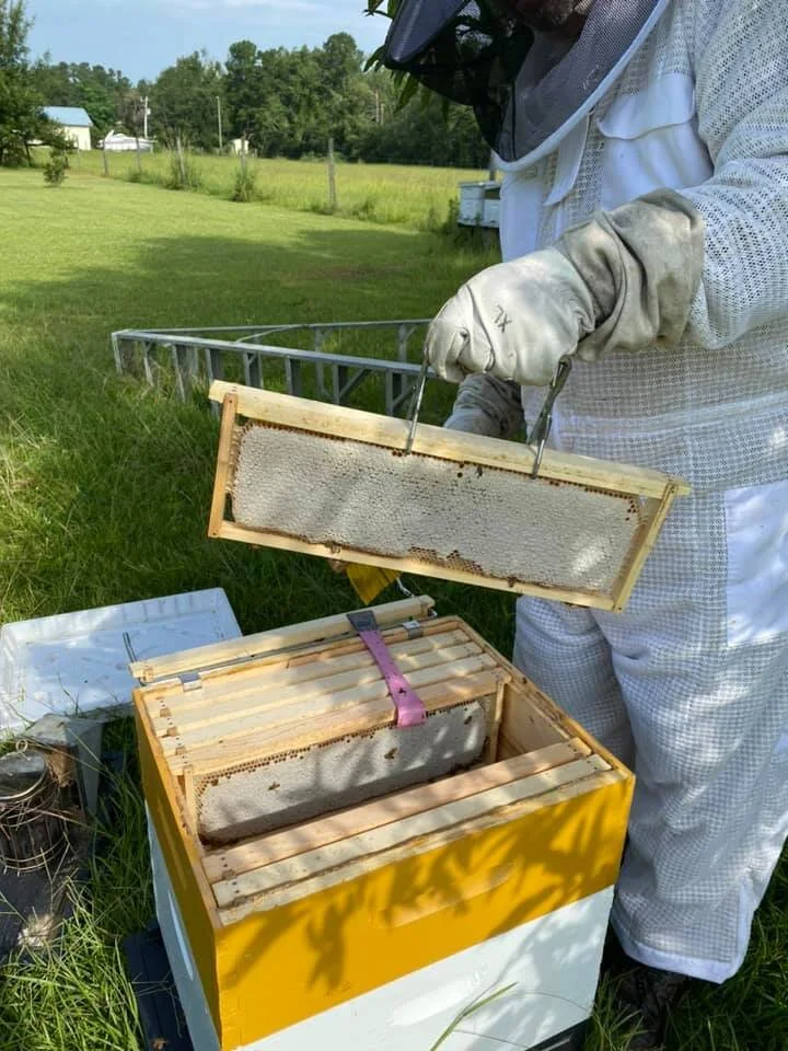 Lowcountry Beekeeping