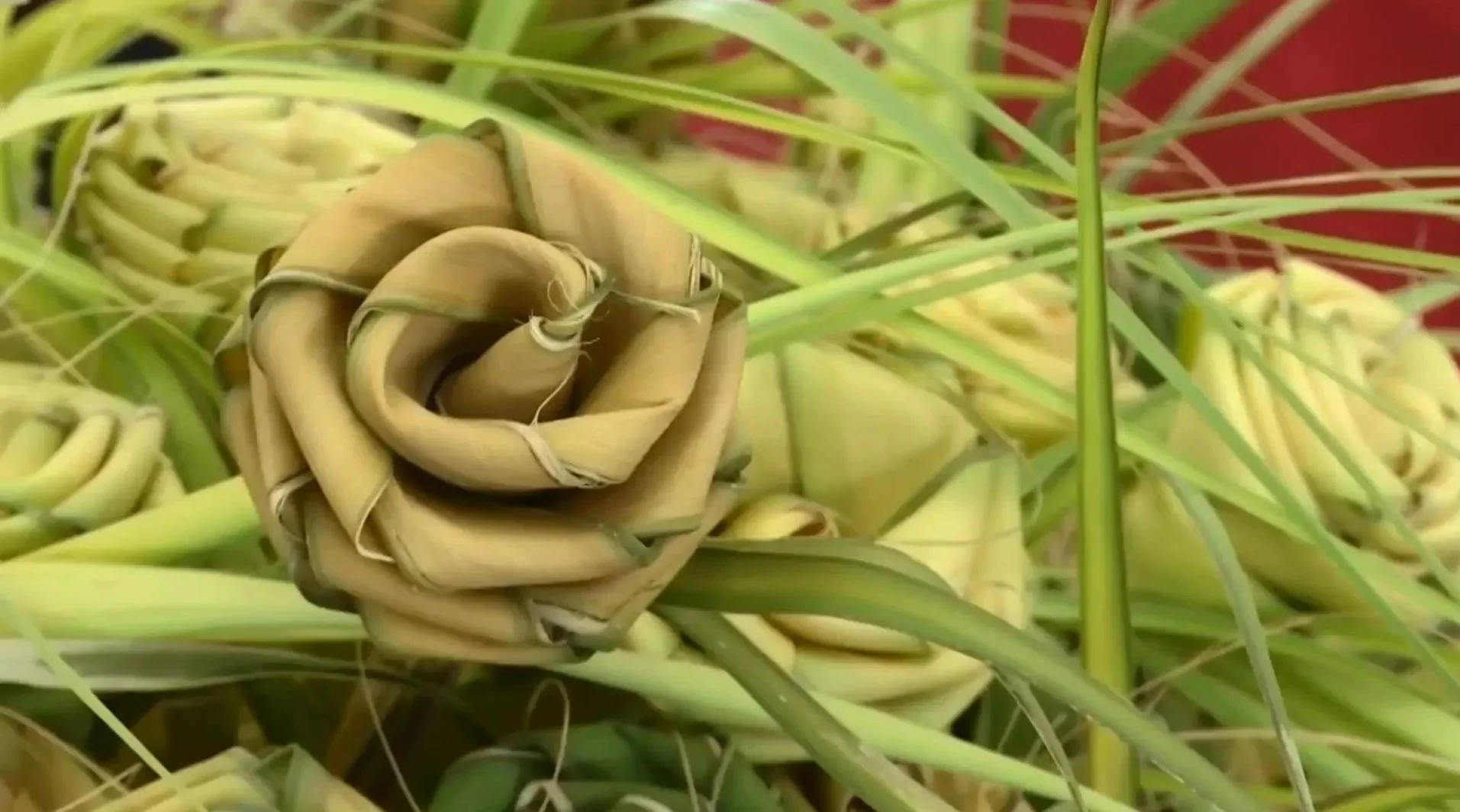 Palmetto Rose Workshop