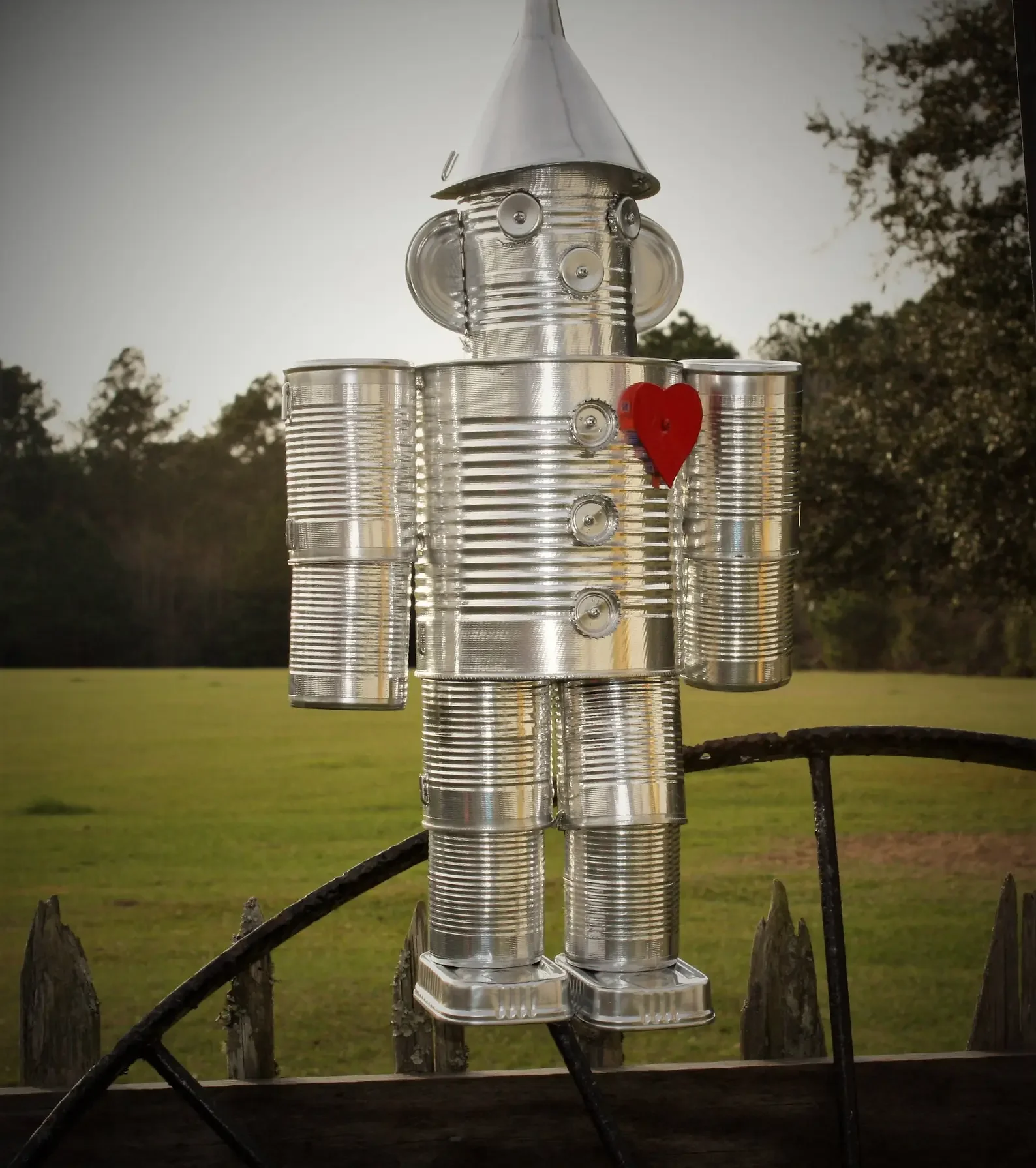 Tin man pic.webp