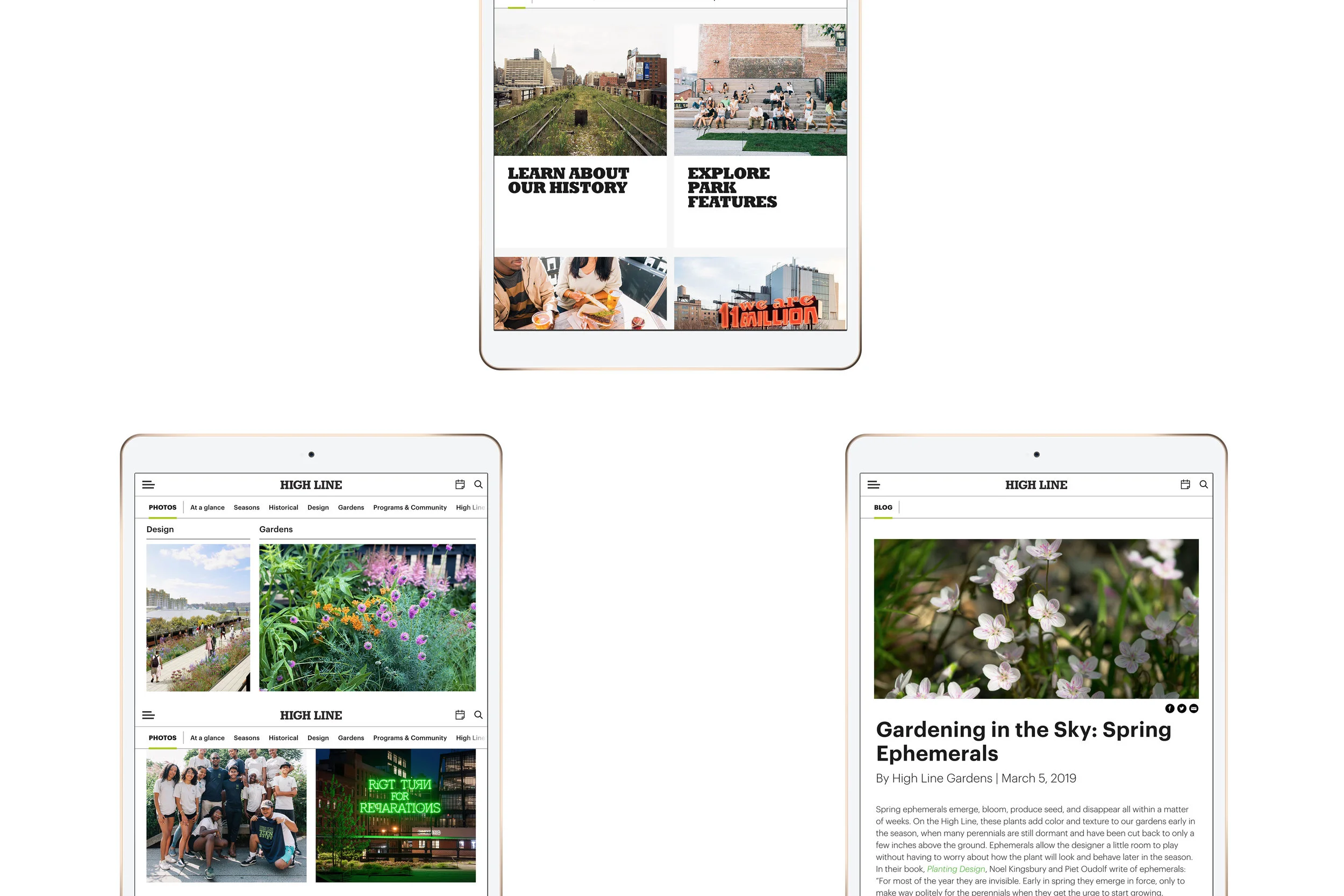 Highline-Header-Ipads-website.jpg