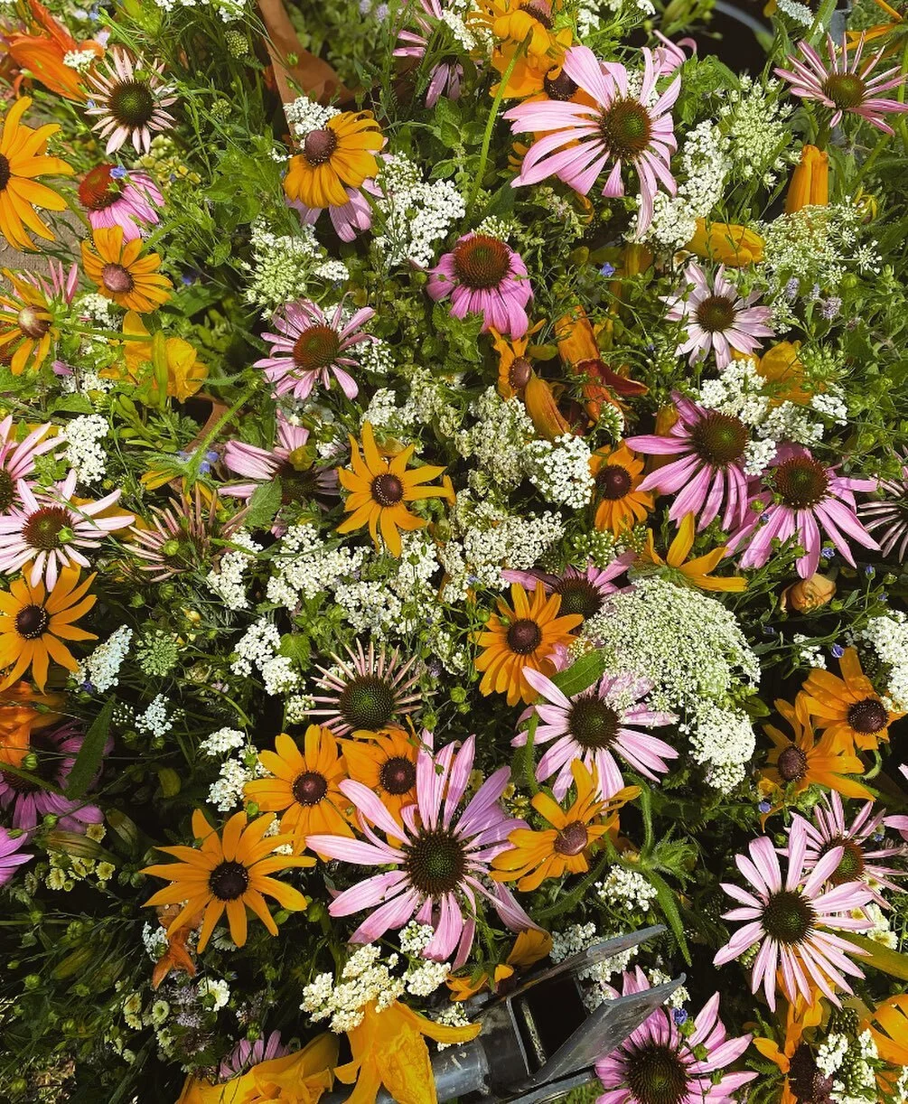 in addition to our own CSA subscription here at the farm, I’m thrilled to be working with @ohiocityfarm this year offering flower add on shares to their spectacular veggie share. 
operated by @refugeeresponse, they seek to empower and support