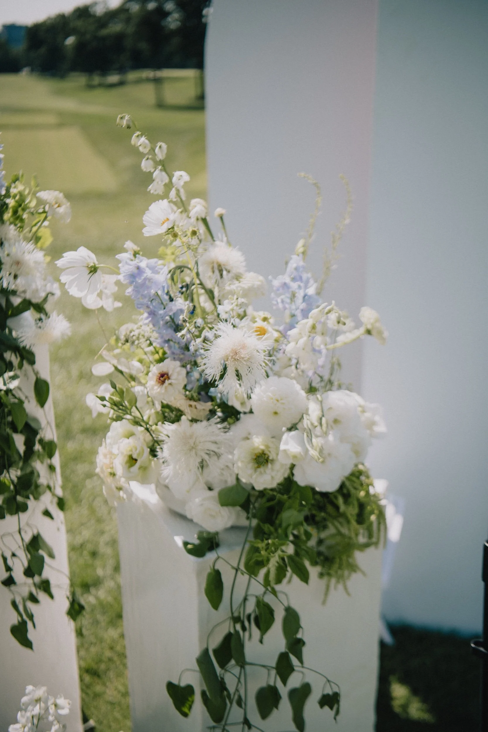 Alex and Dan 0481_Original.jpeg