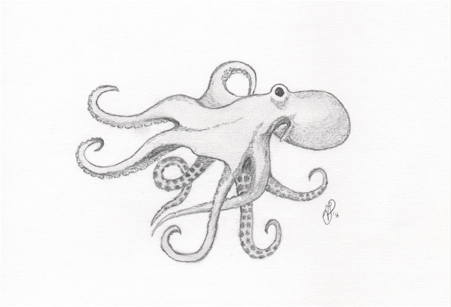 octopus.png