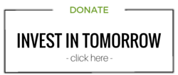 image-asset.png