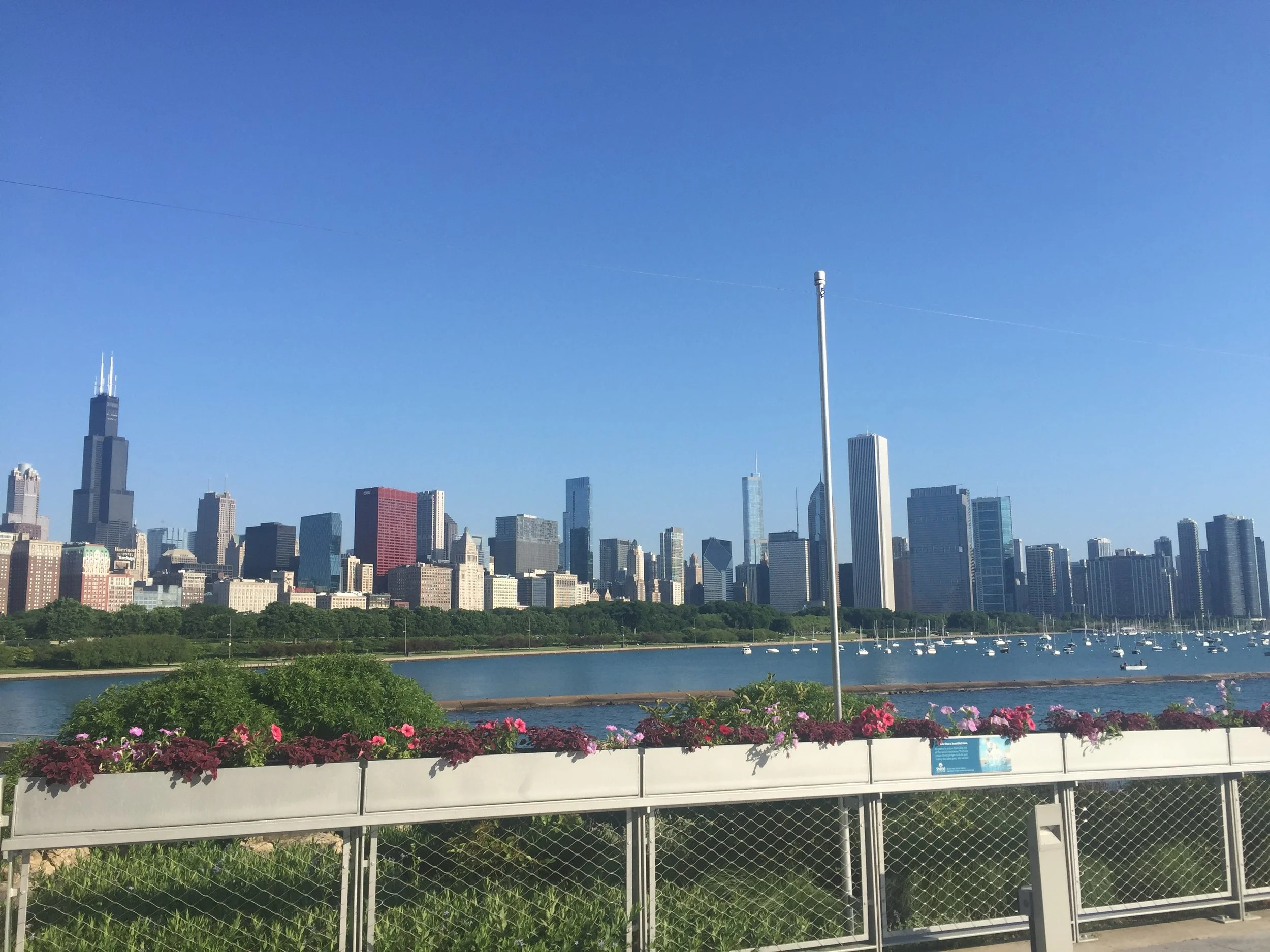 View from Y6's Shedd Event!!