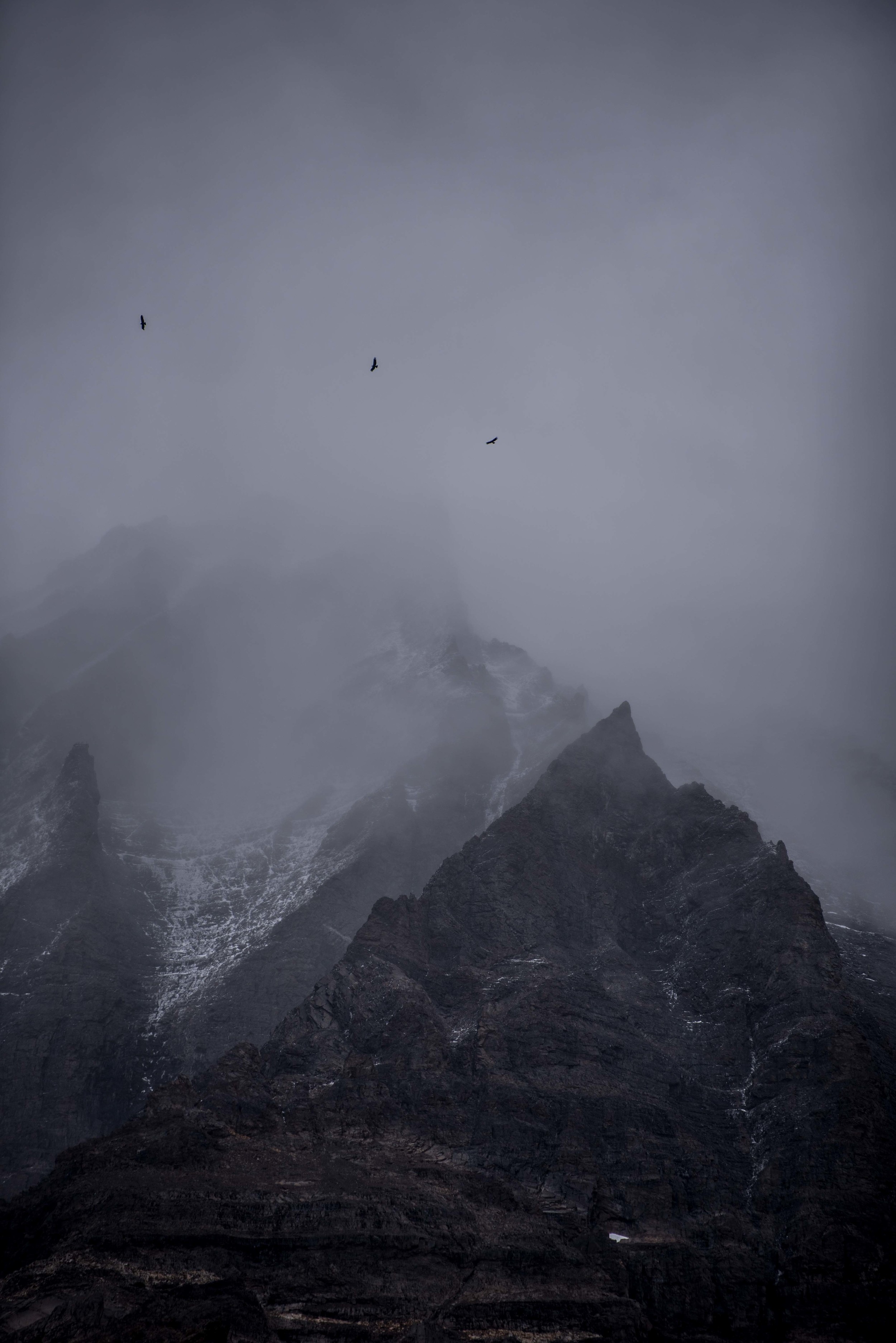 3 Condors hovering below the clouded Cuernos in Torres Del Paine.