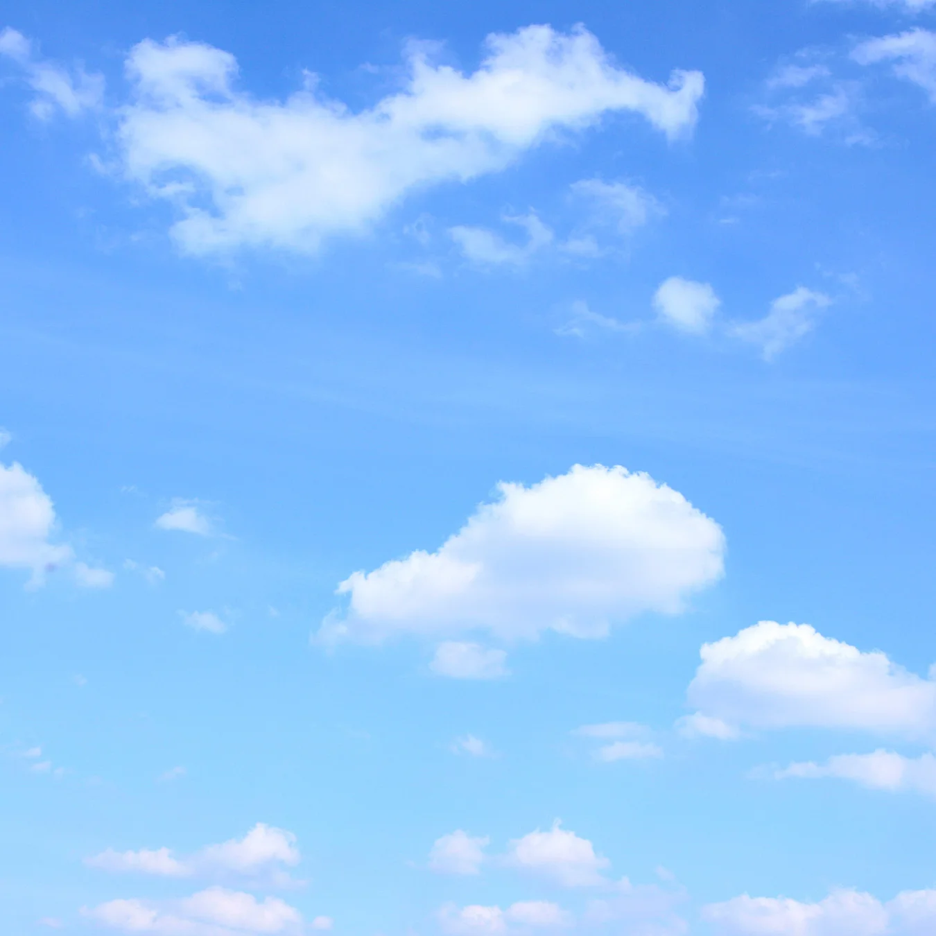 BR_Brand Development+Assorted Projects.jpg