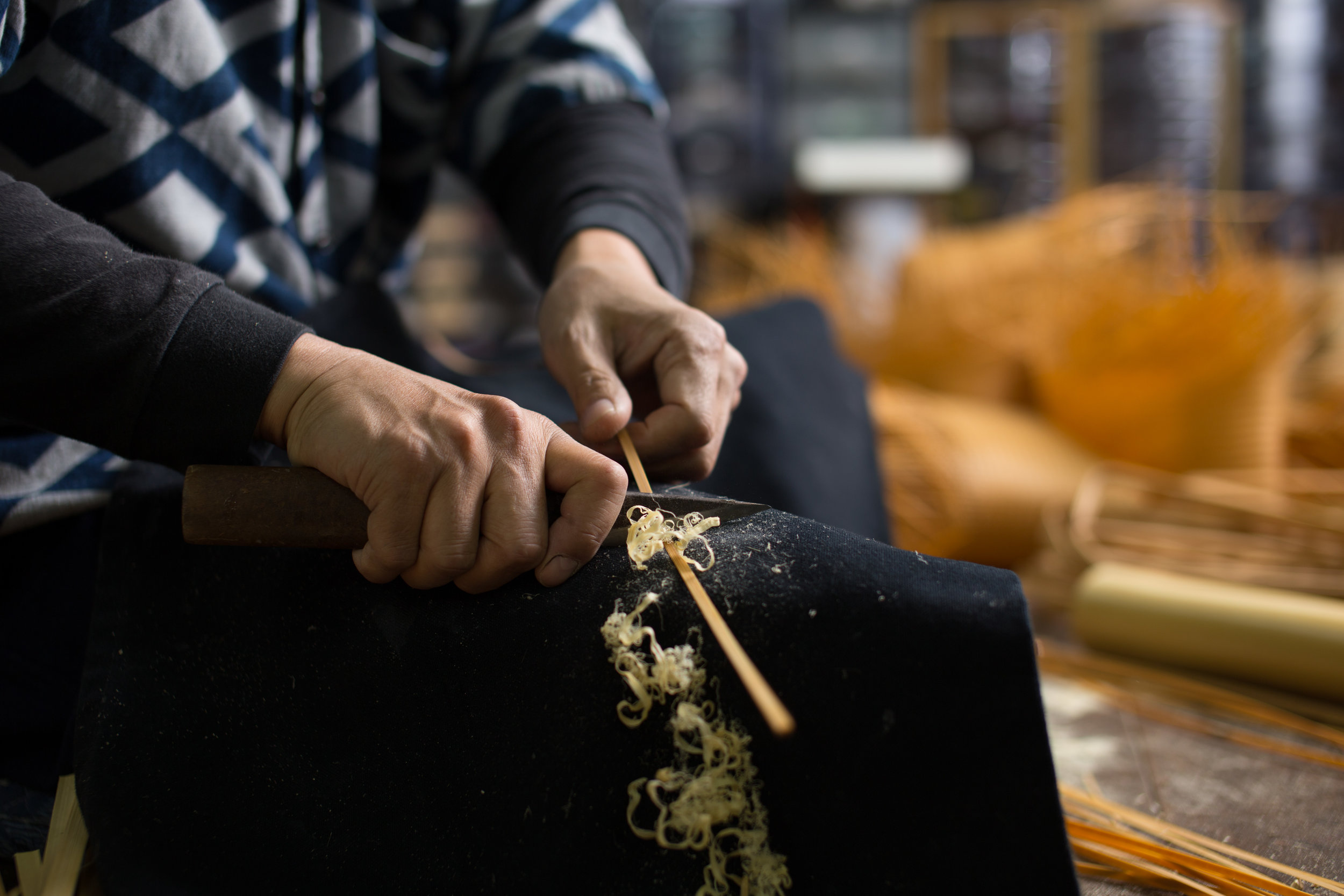 毛利写真 (5).jpg