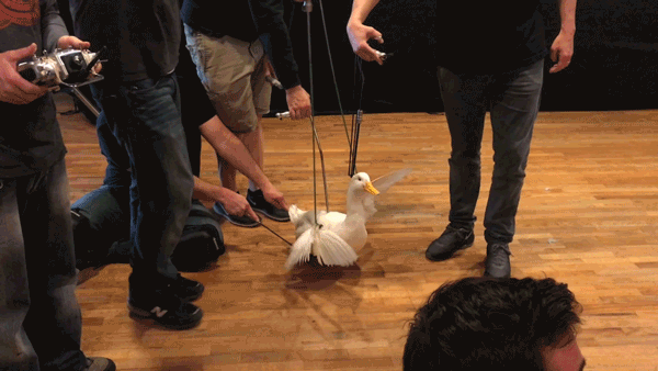 Aflac.gif