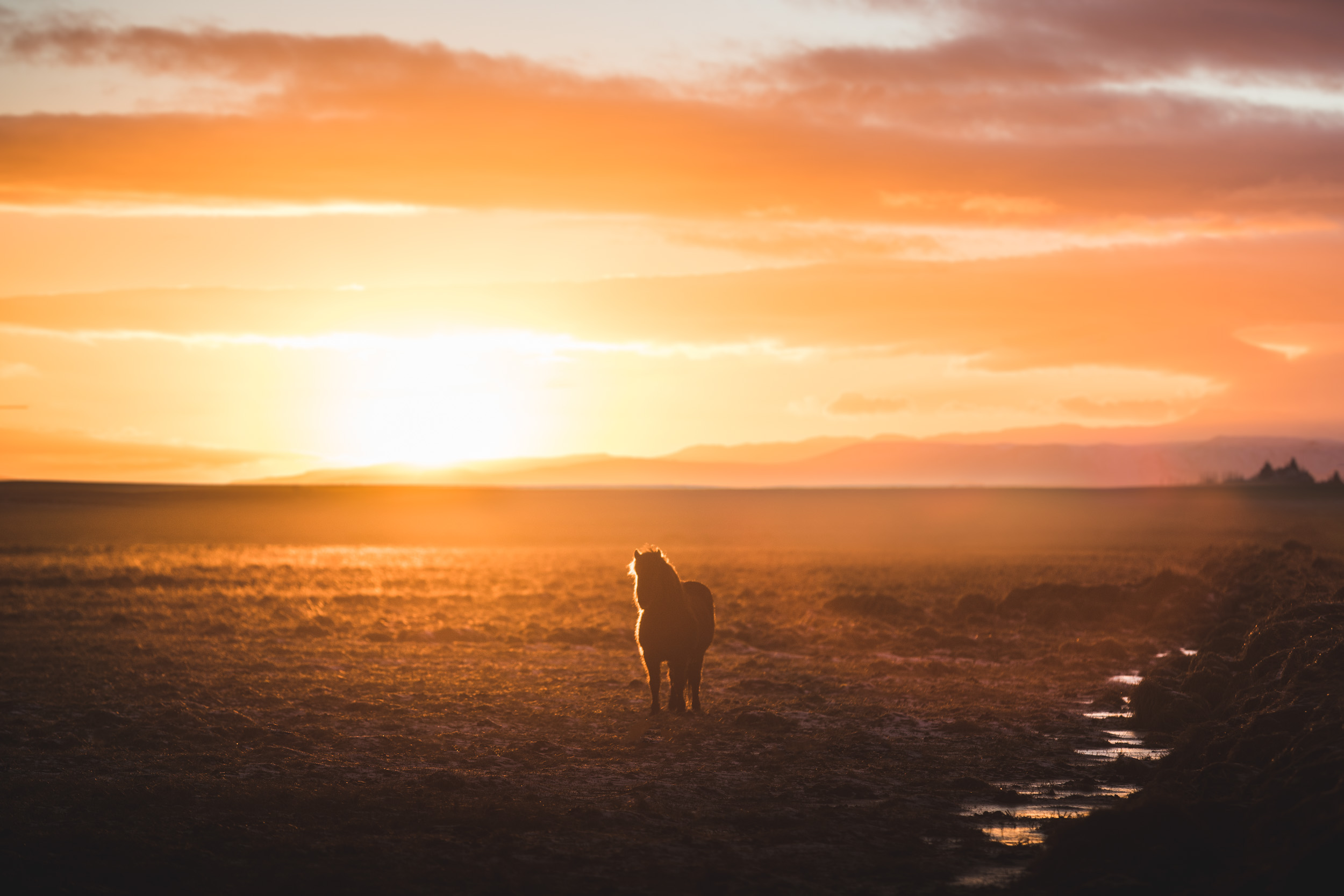 Iceland_Jan_2019_ByTomKahler_Lowres (213 of 262).jpg