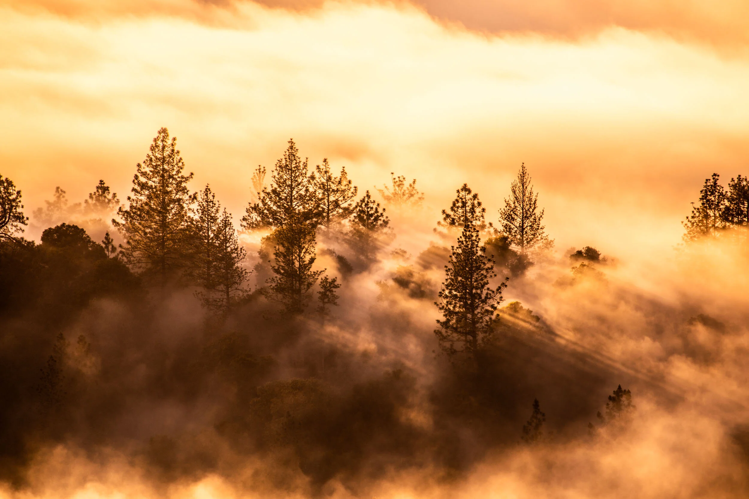 California_AdidasTERREX_May19_ByTomKahler_Lowres (70 of 335).jpg
